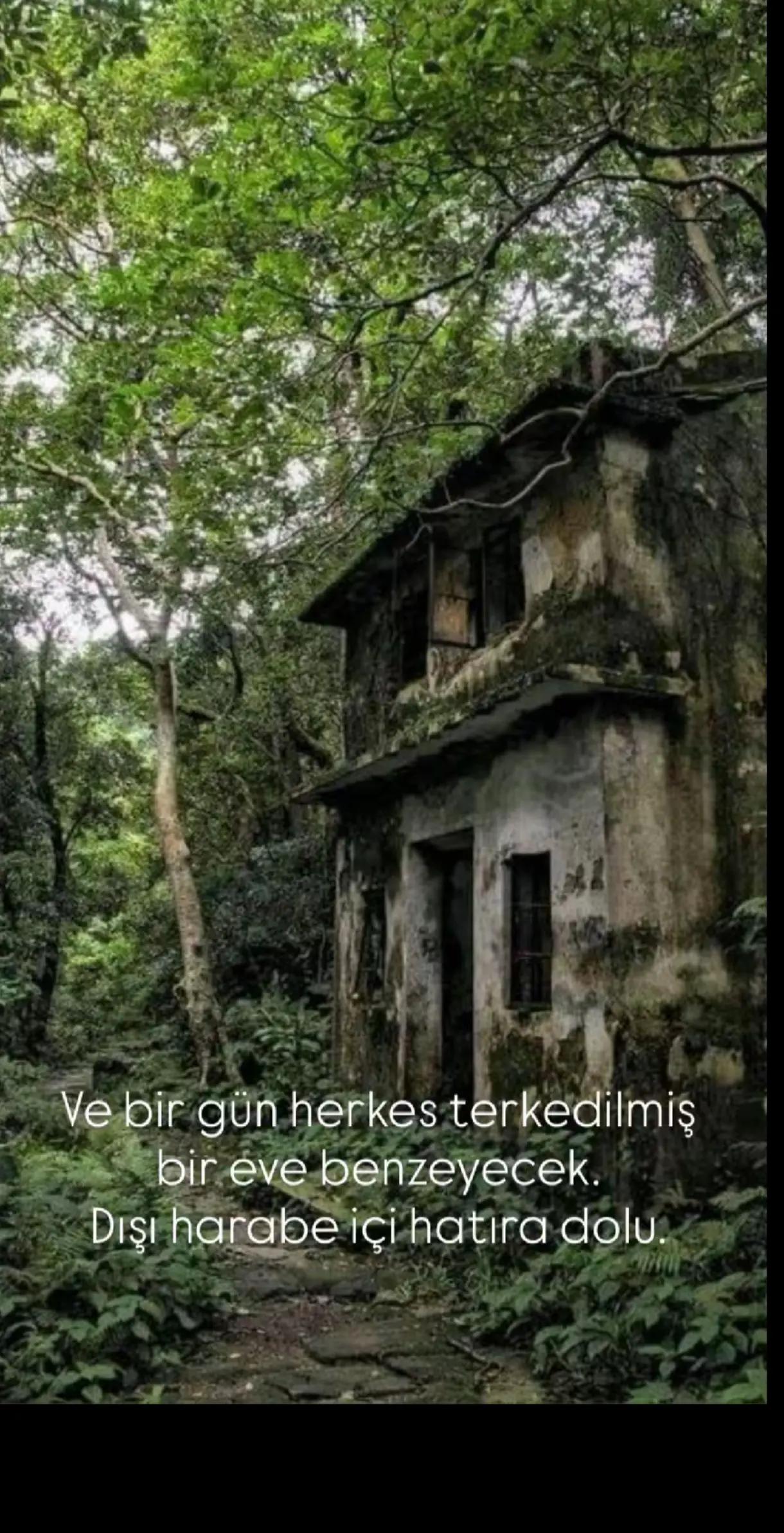 @💙LEYLA❤️ SULTAN 💙