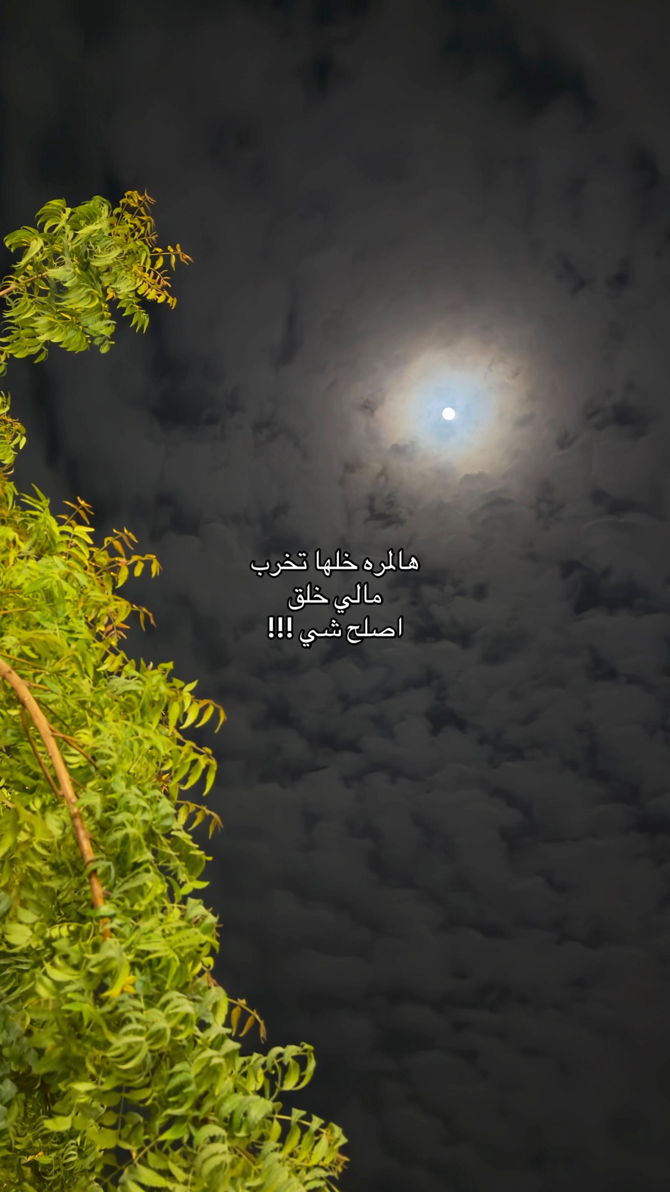 @مودل لجين | الاحساء 🌴.