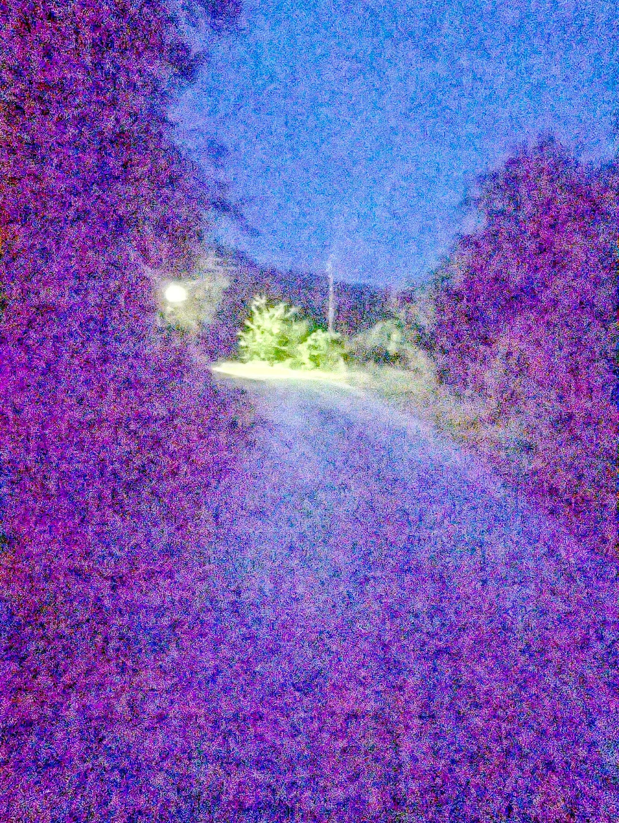 @𒁎ₖᵤₛₑᵥ𒁎