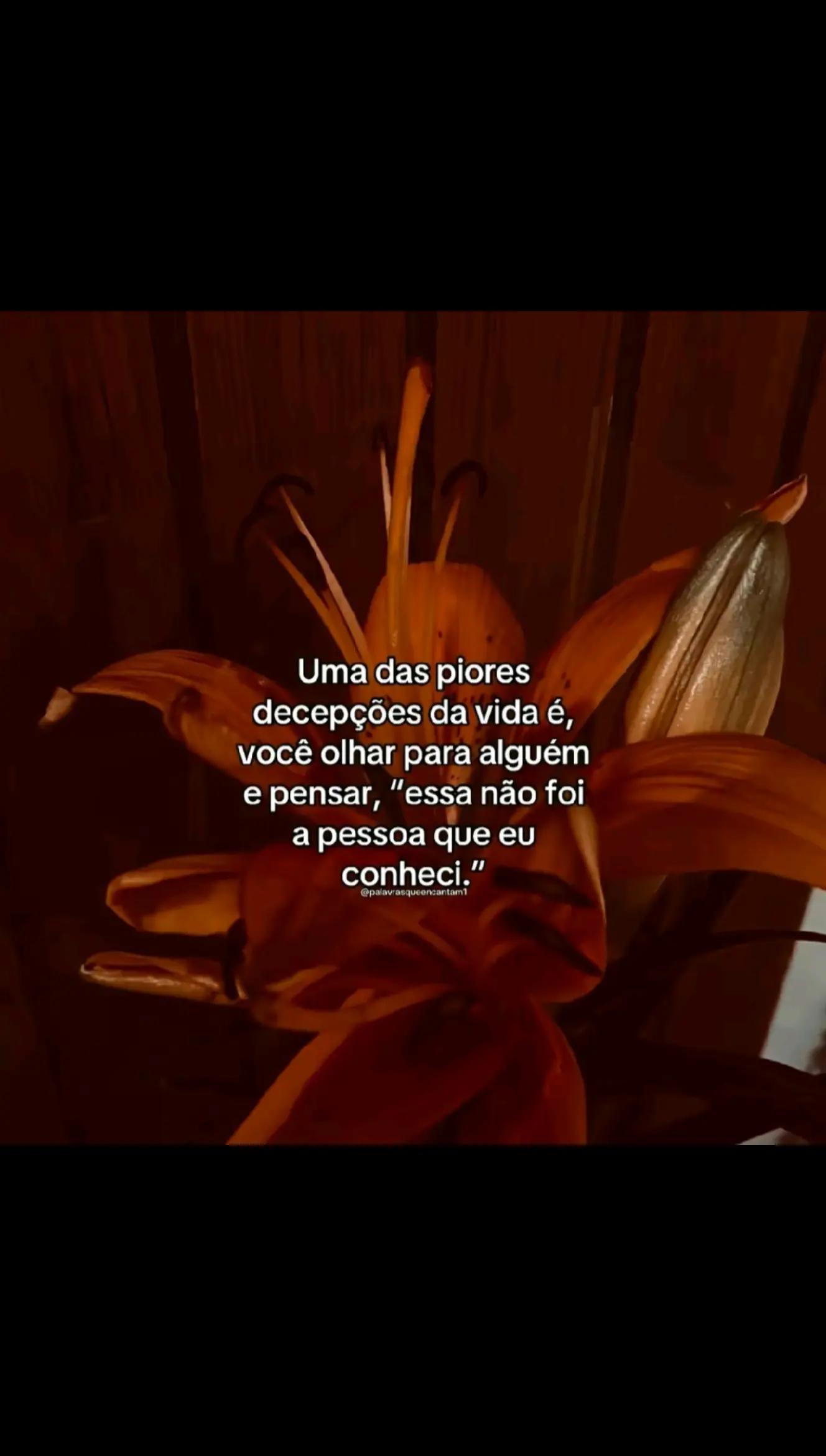 @ossolitariioos❤️&zwj;🩹🫥