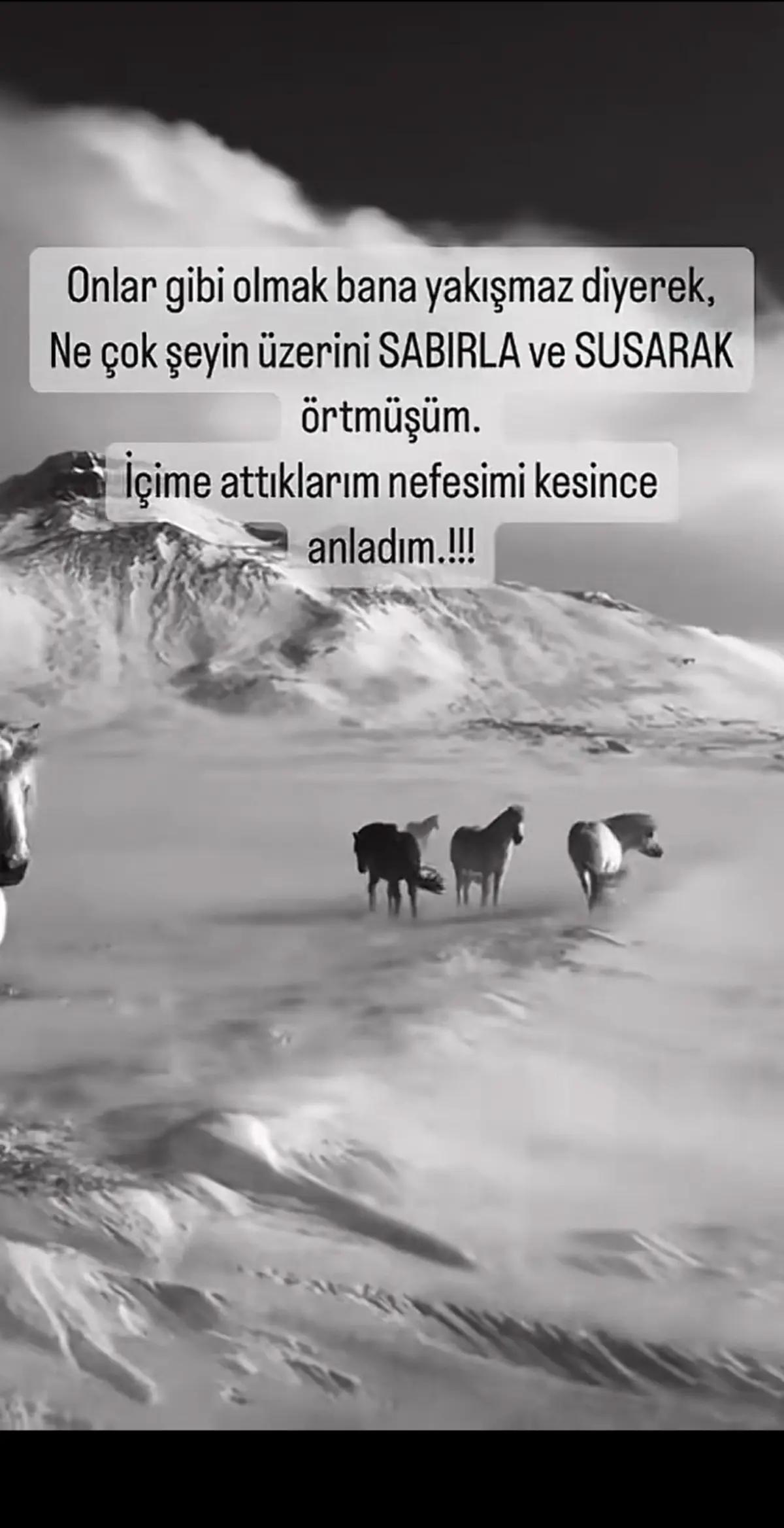 @mavideniz