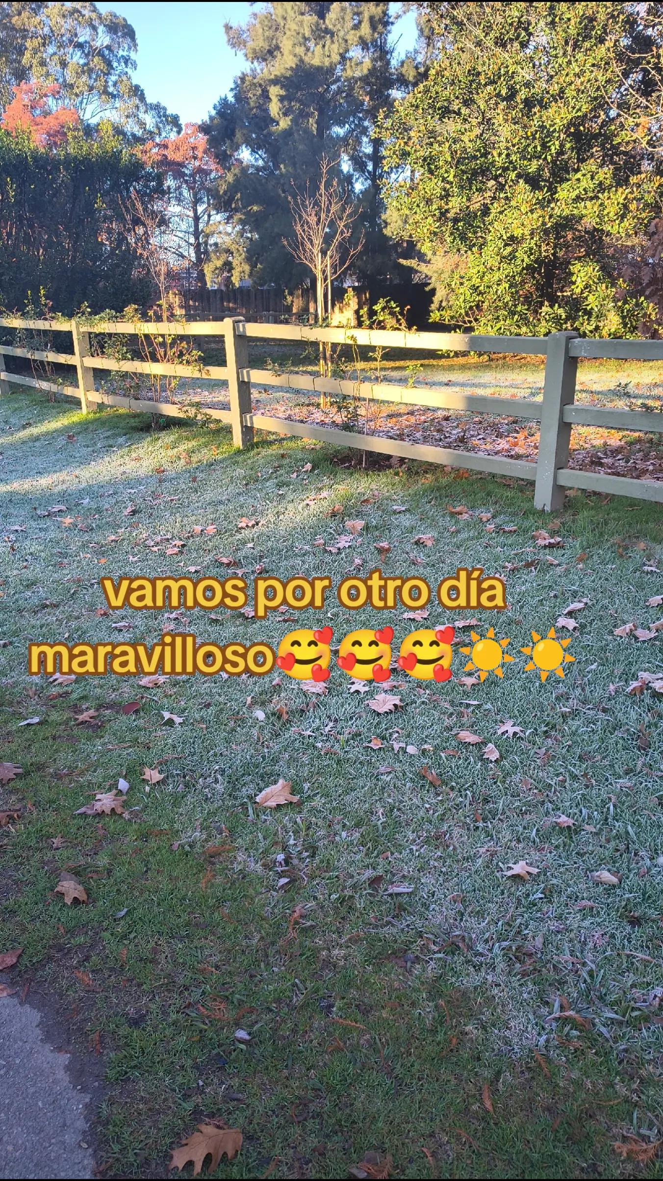 @mabel 1971
