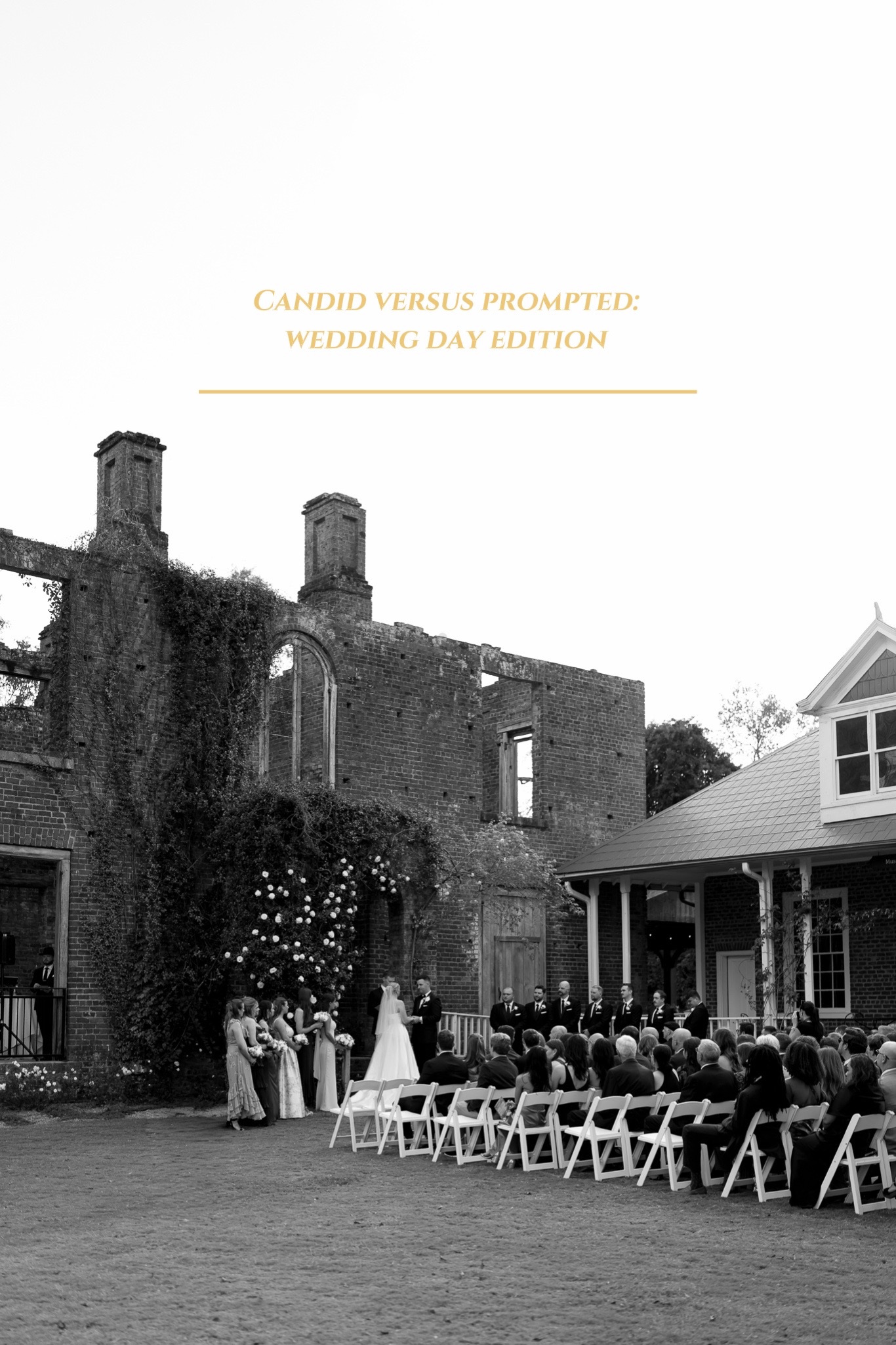 @caroline stephens photography