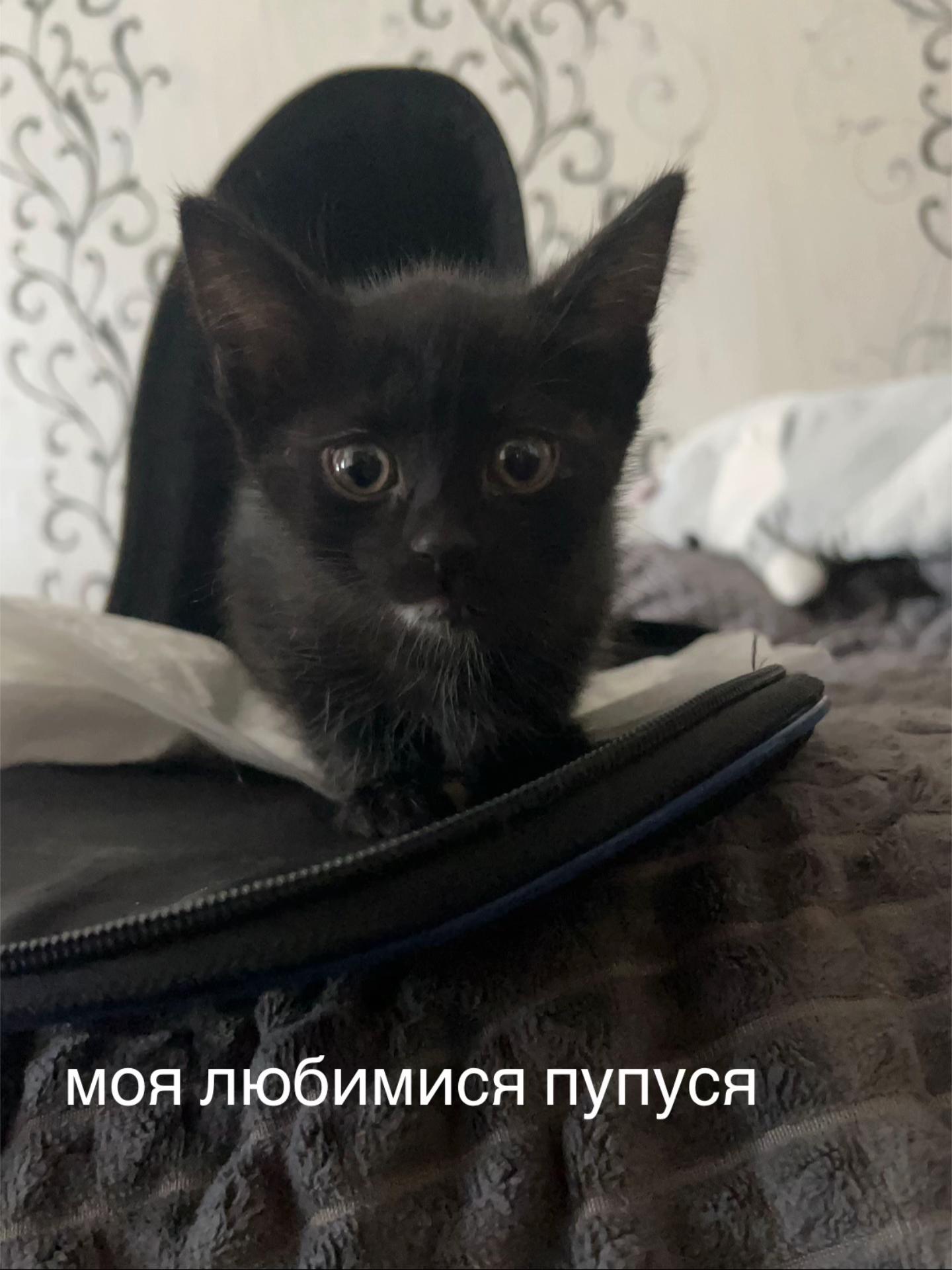 @миленко