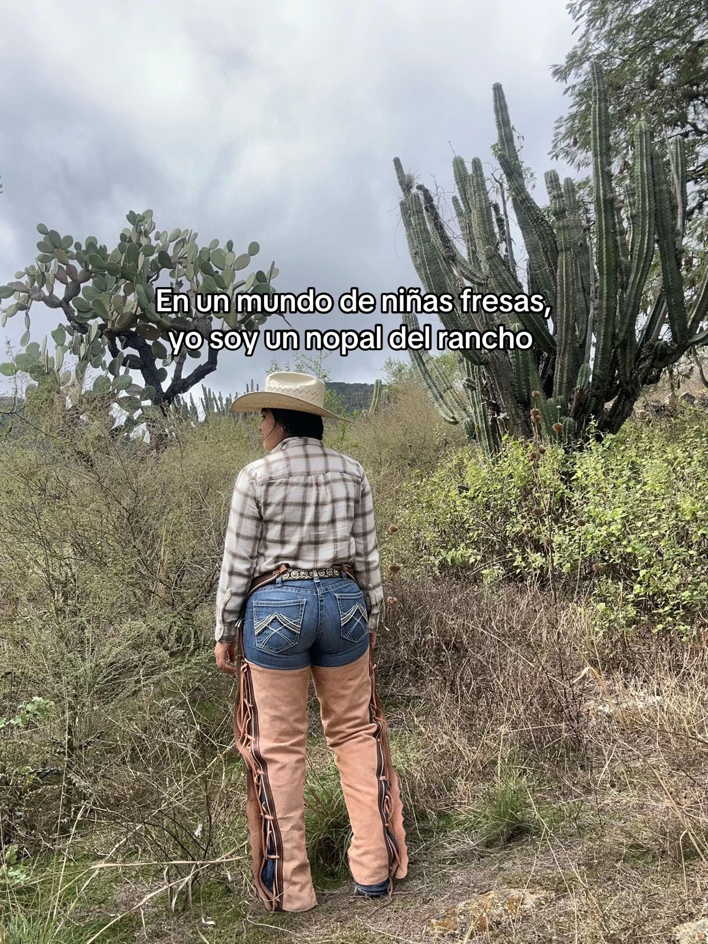 @La bautista