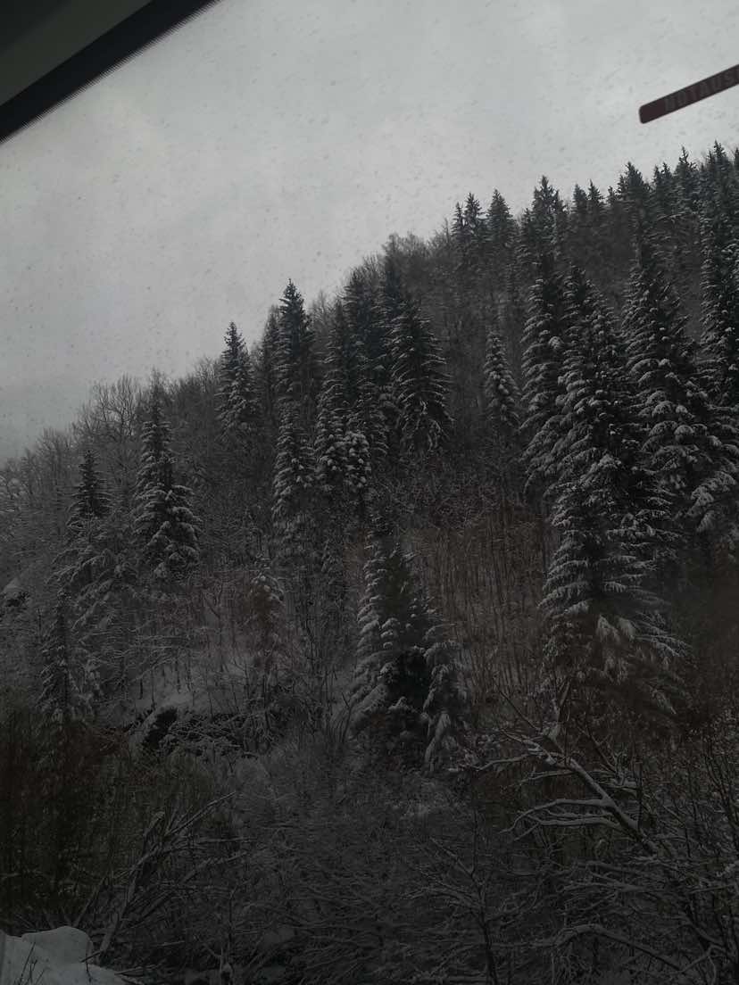 @vukcevicc.j