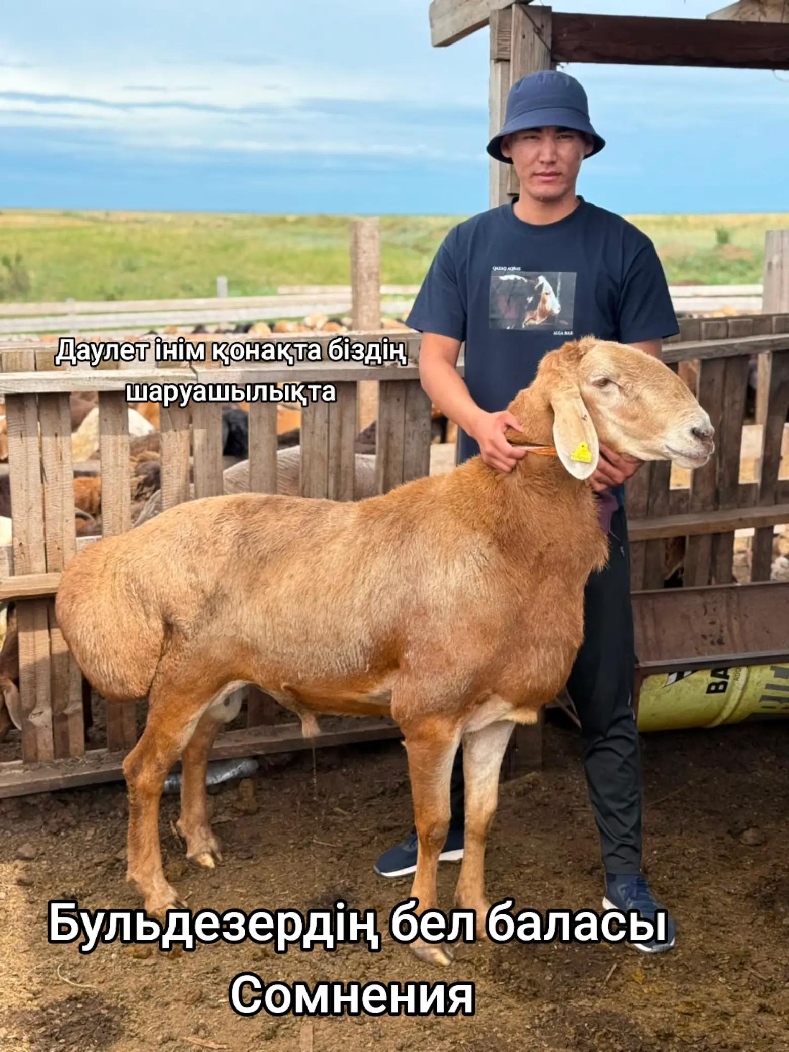 @Гани