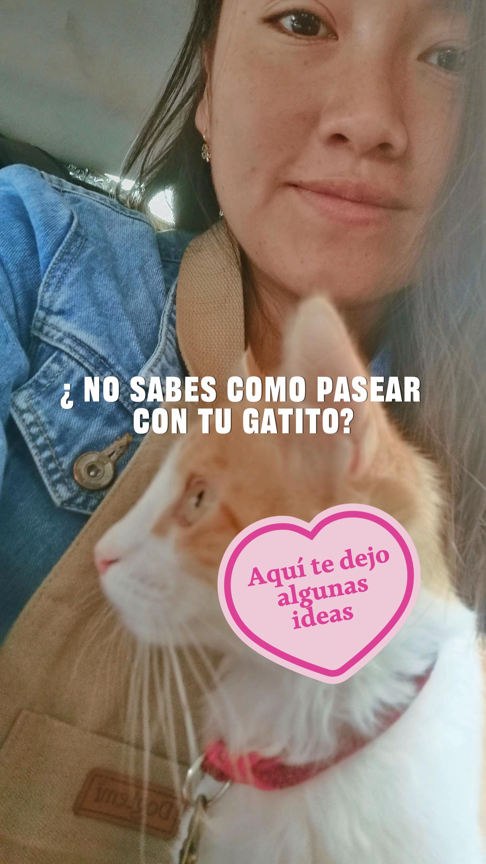 @Ahora somos M.A.S