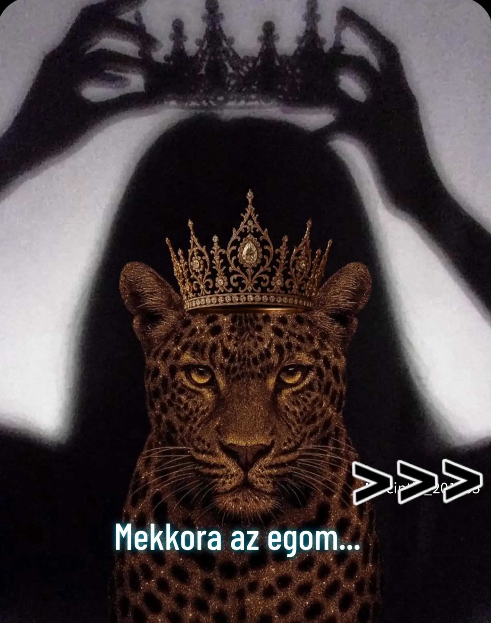 @Zsani122