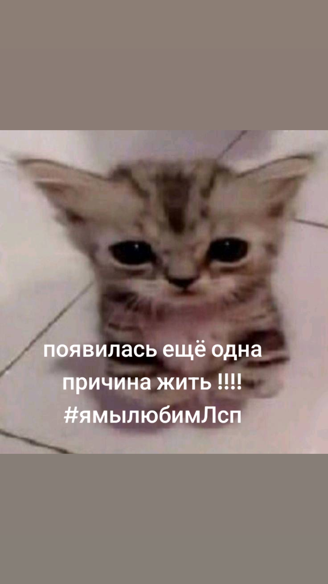 @оксюморон на вб