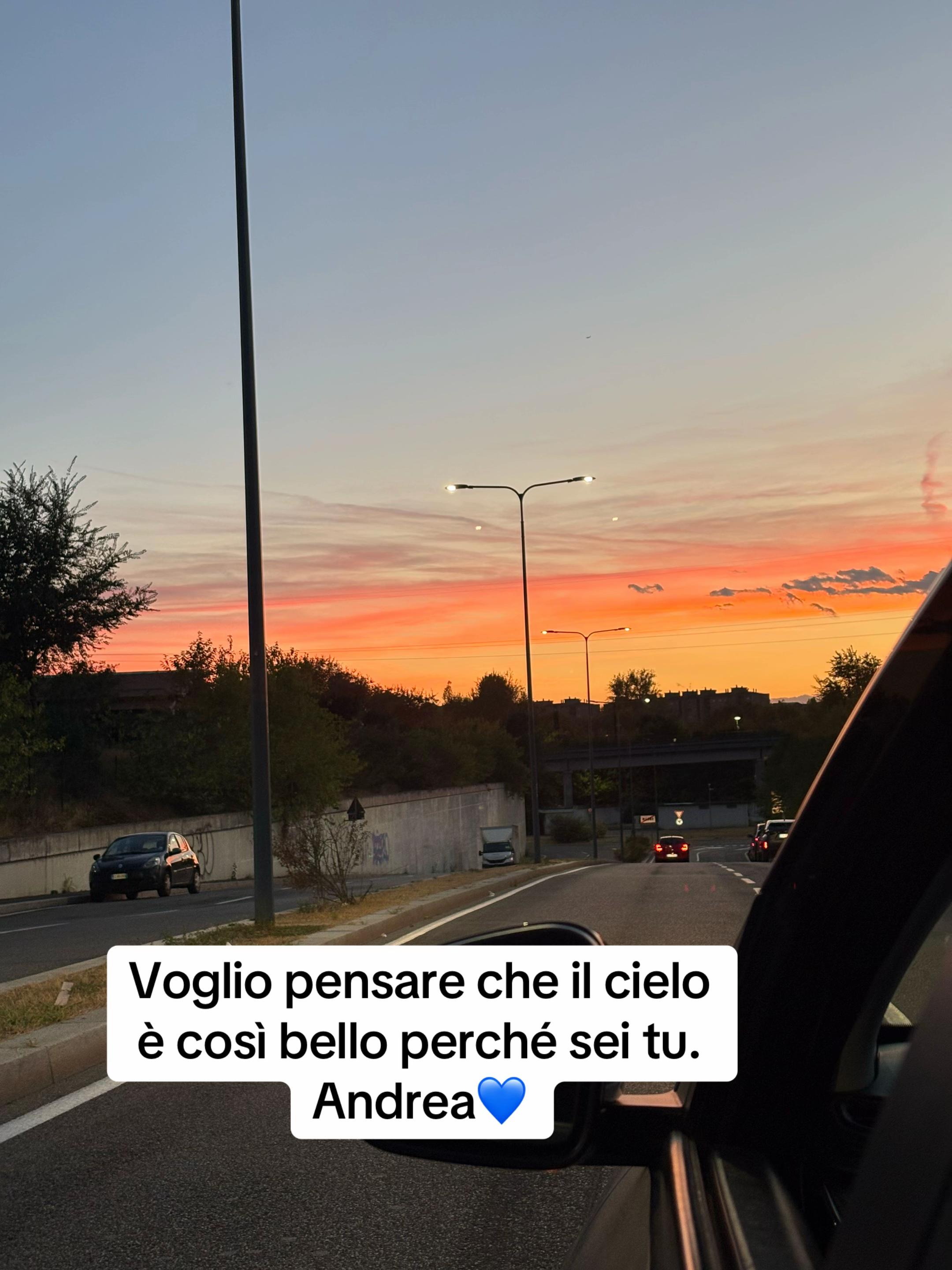 @valeria_mannone