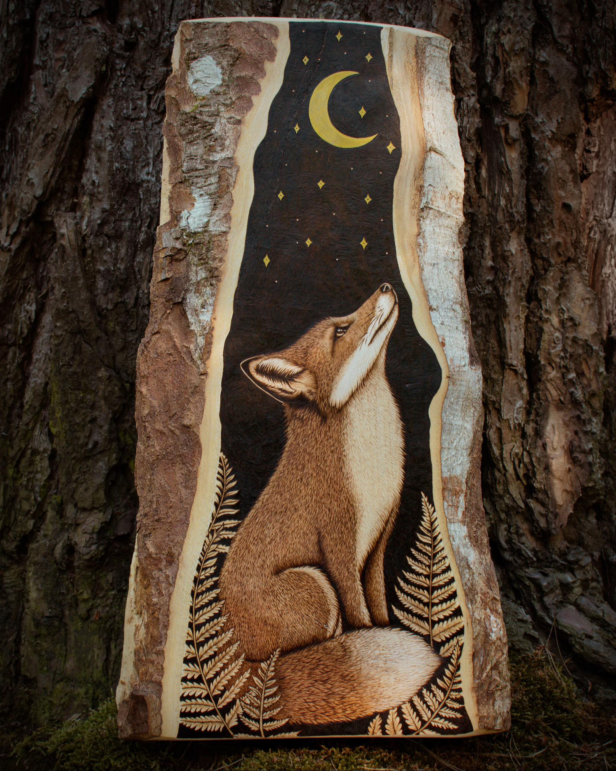 @SoWoodBurning