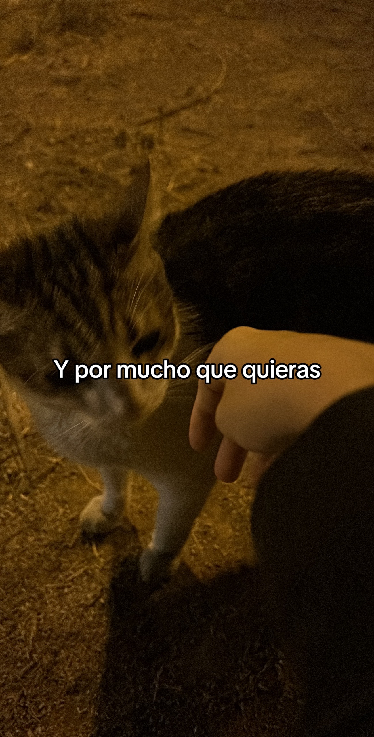 @Escrit.ssaddd🤎