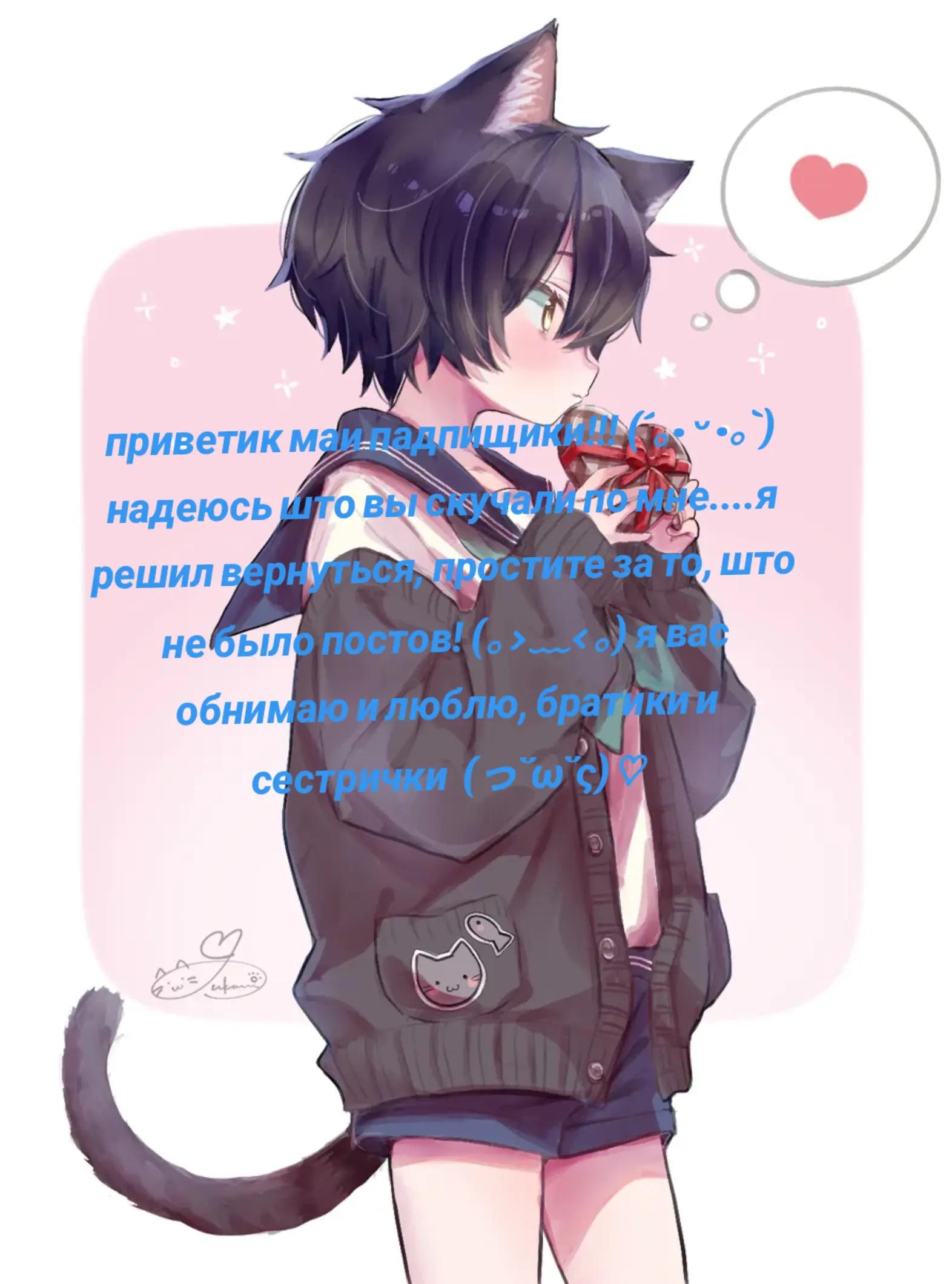 @Setomi