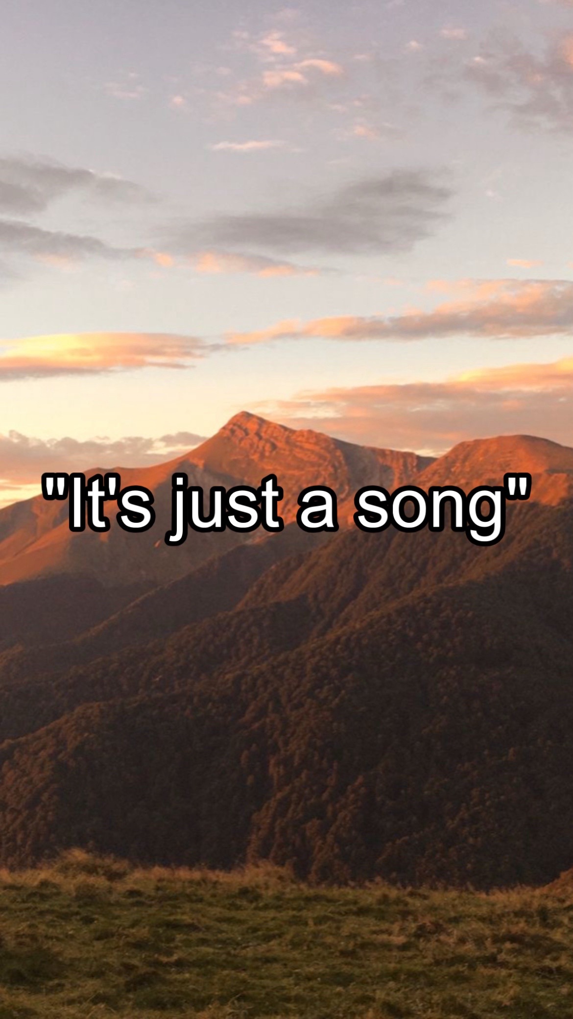 @CountryMusicEnjoyer🤠