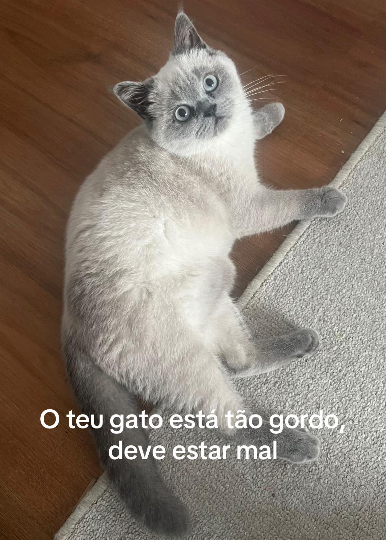 @Gina Teixeira