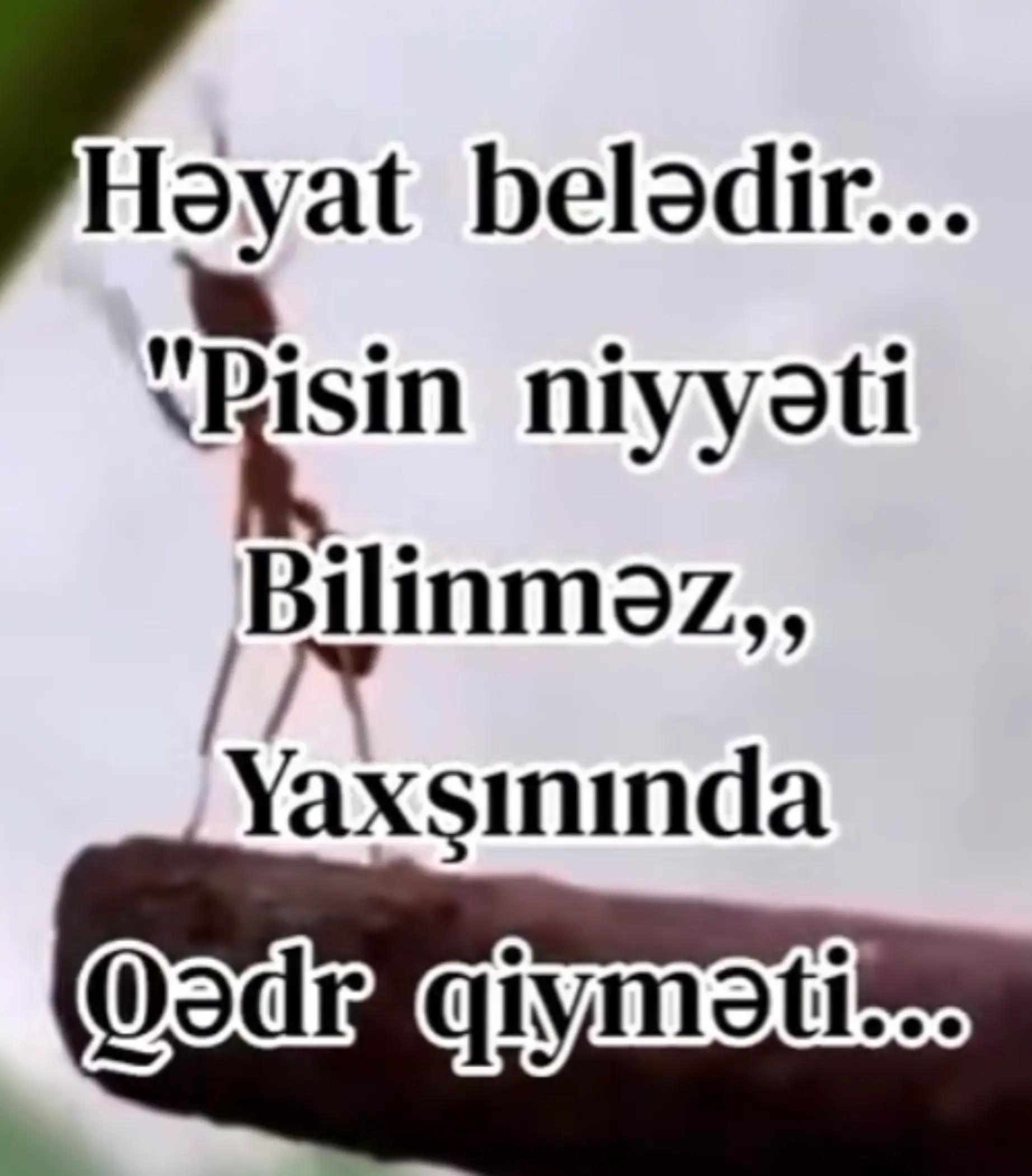 @🇹🇷KÖLGƏ056🇦🇿