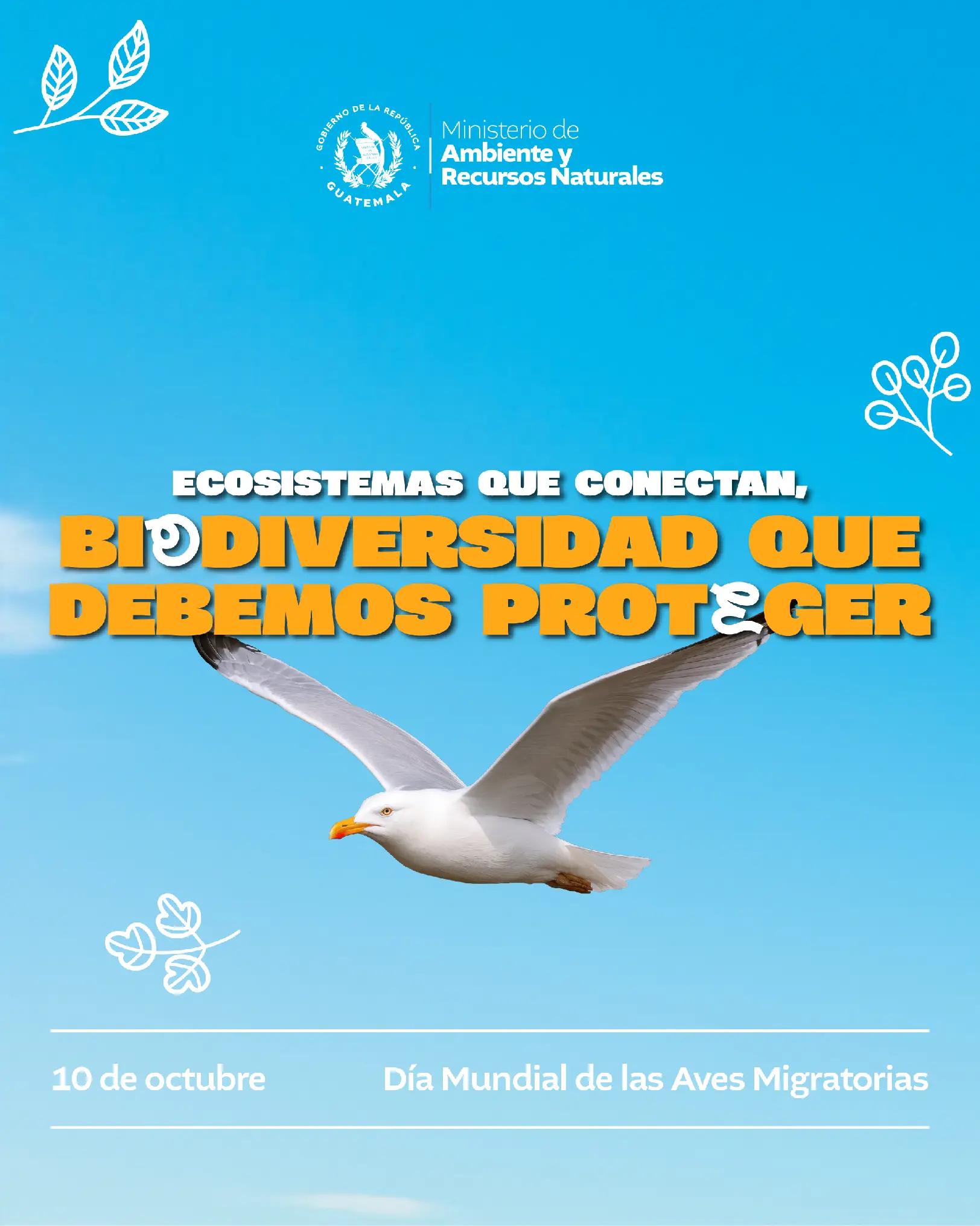 @Ministerio de Ambiente GT