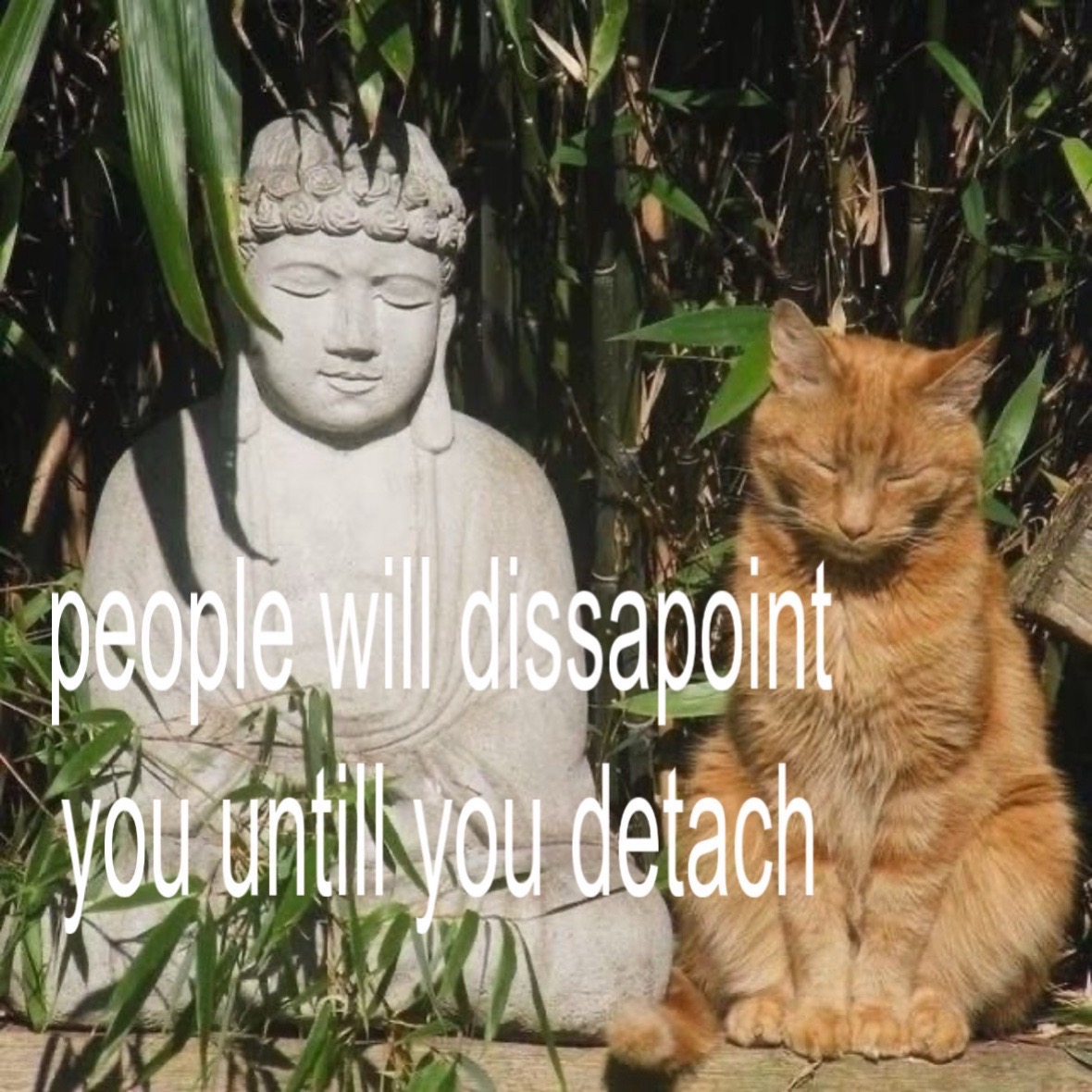 @L@cedX@n