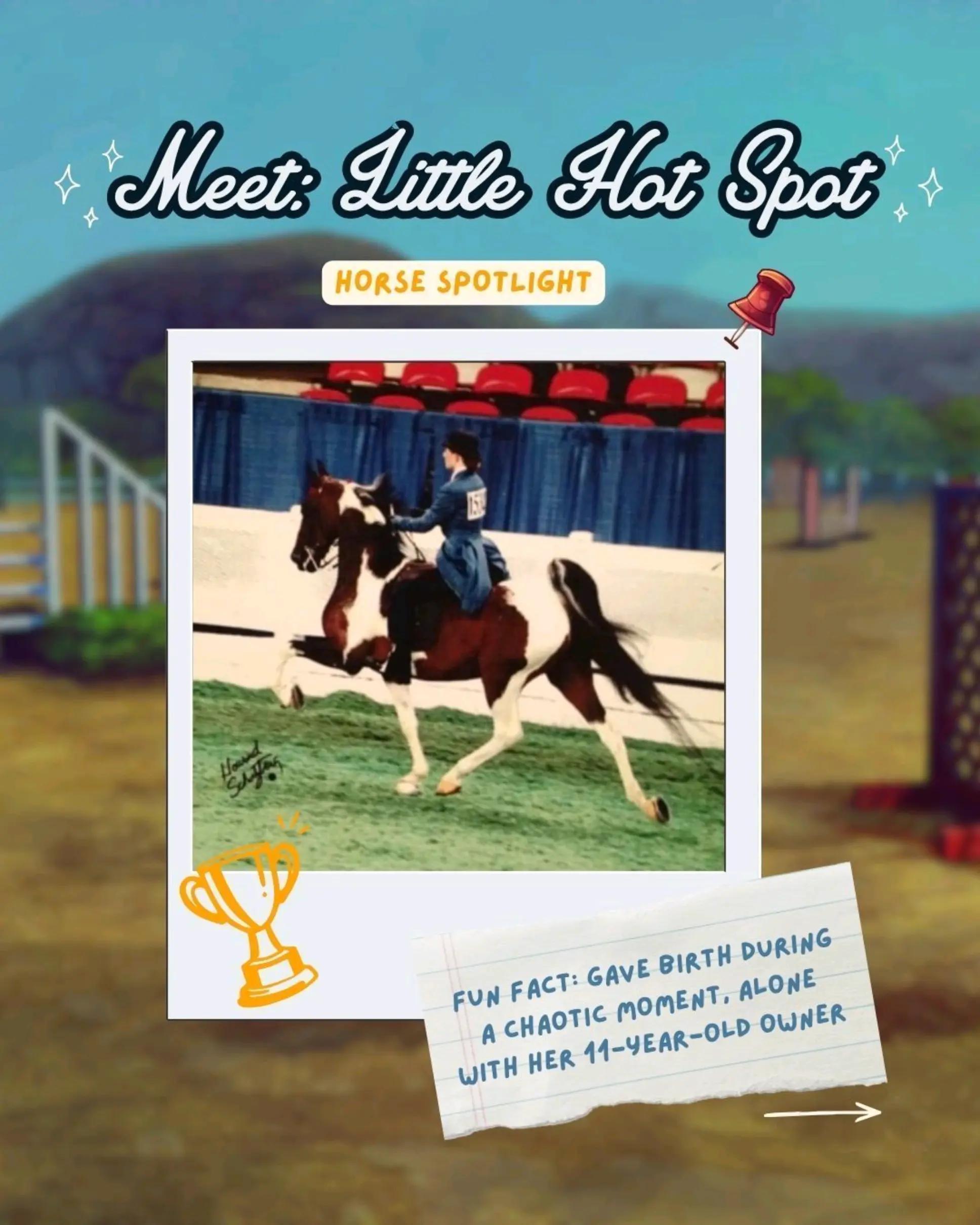 @Horse Reality