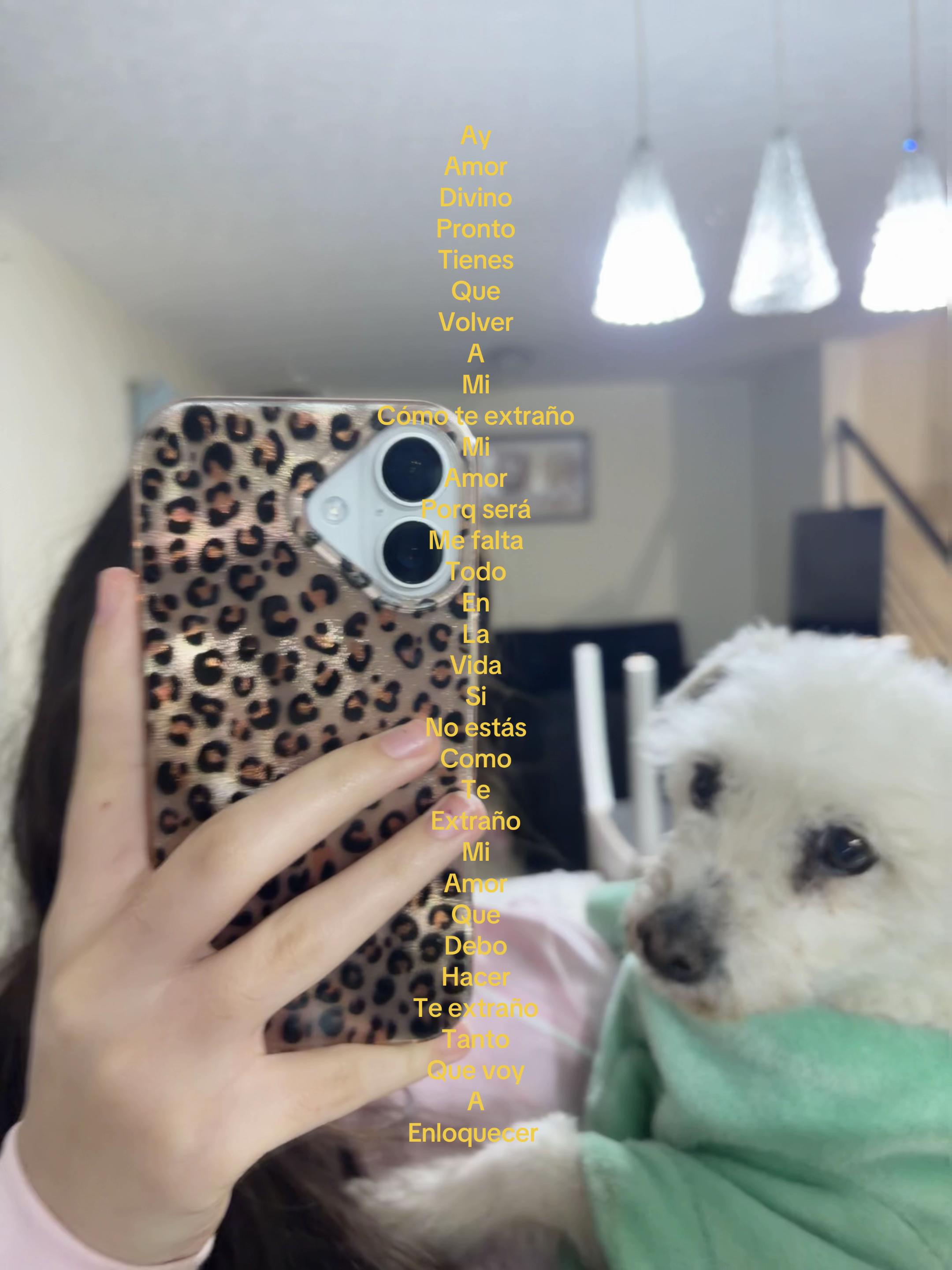 @𝒜𝓁𝑒𝓈𝓈𝒾𝓉𝒶🖤