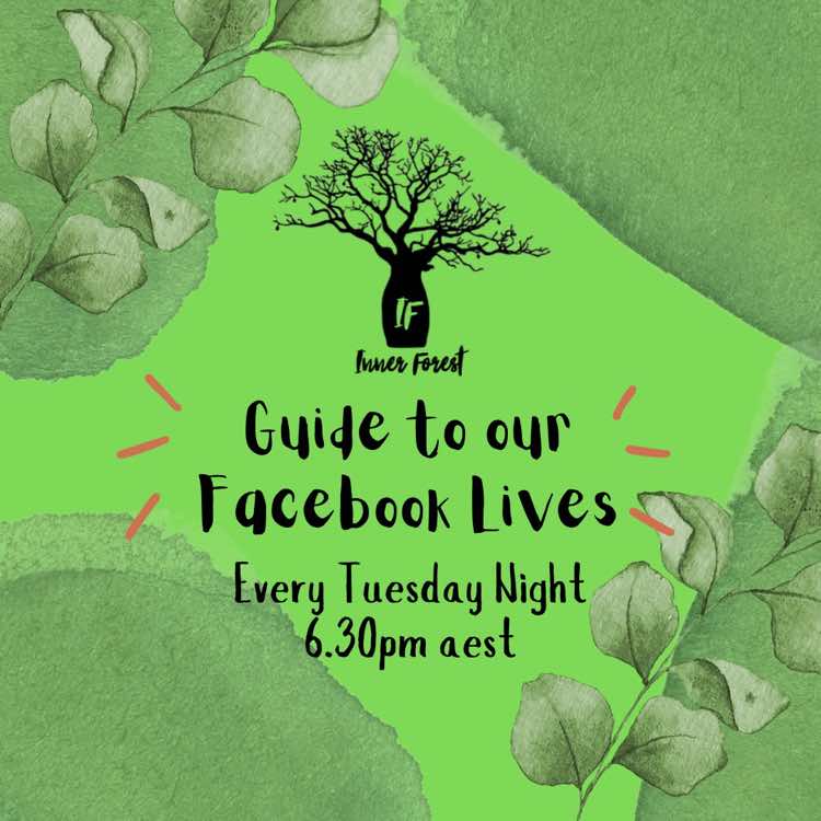 @Inner Forest Penrith ☘️✨