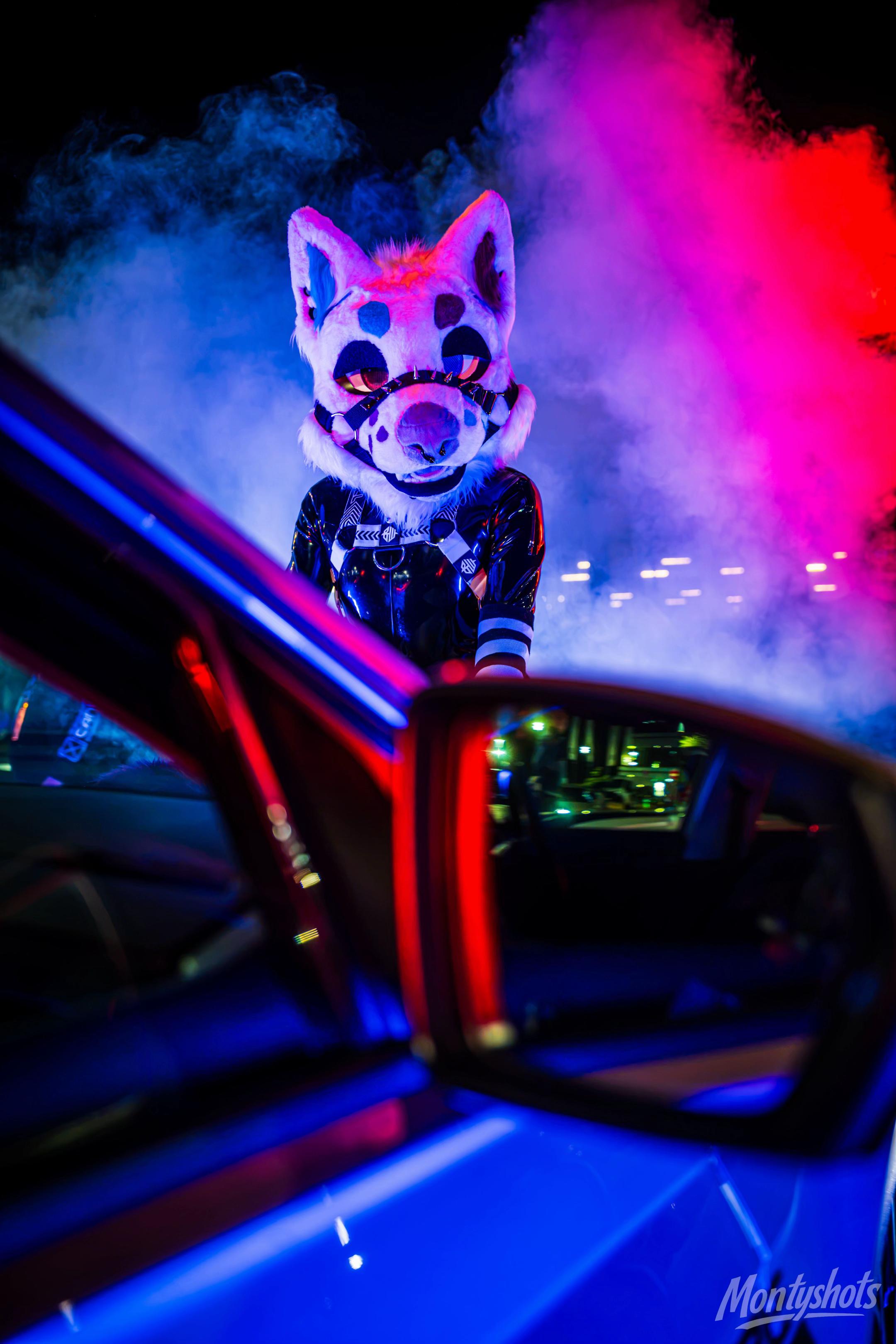@✨Nekura the Fox✨