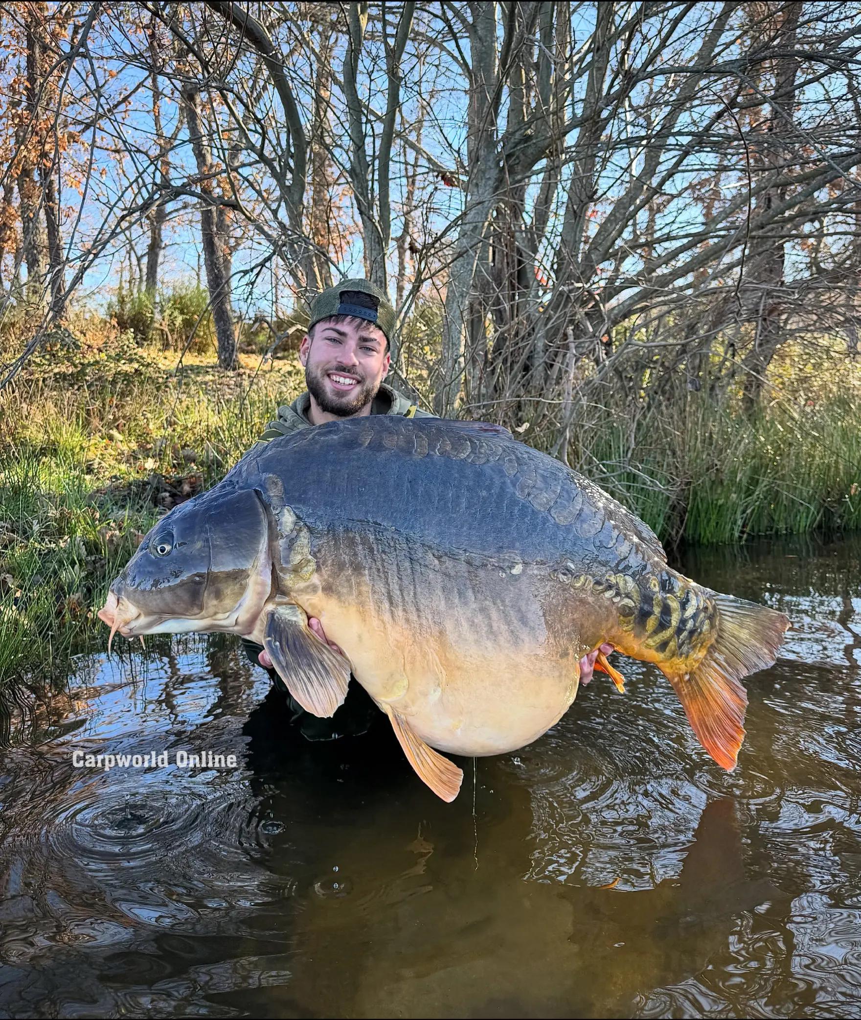 @carpworldonline