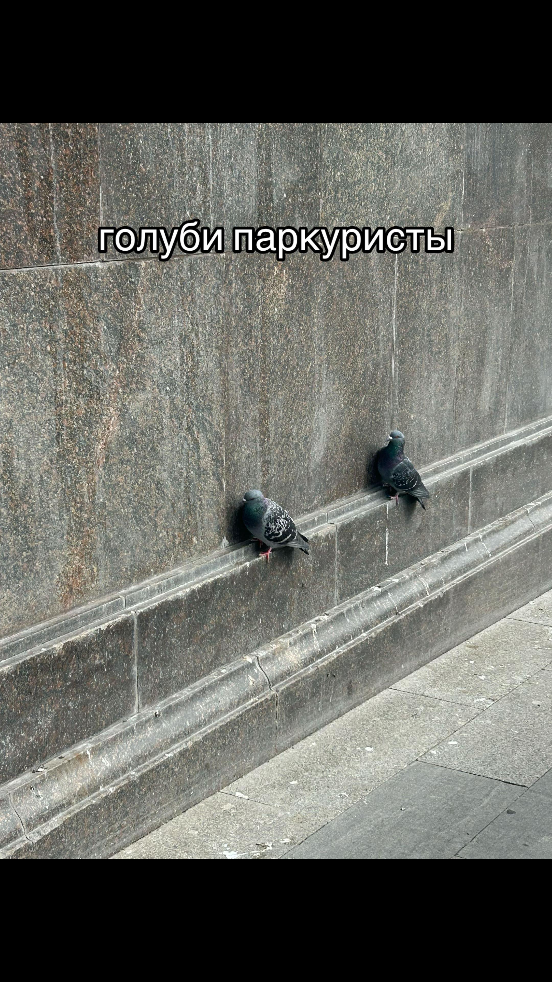 @софочка