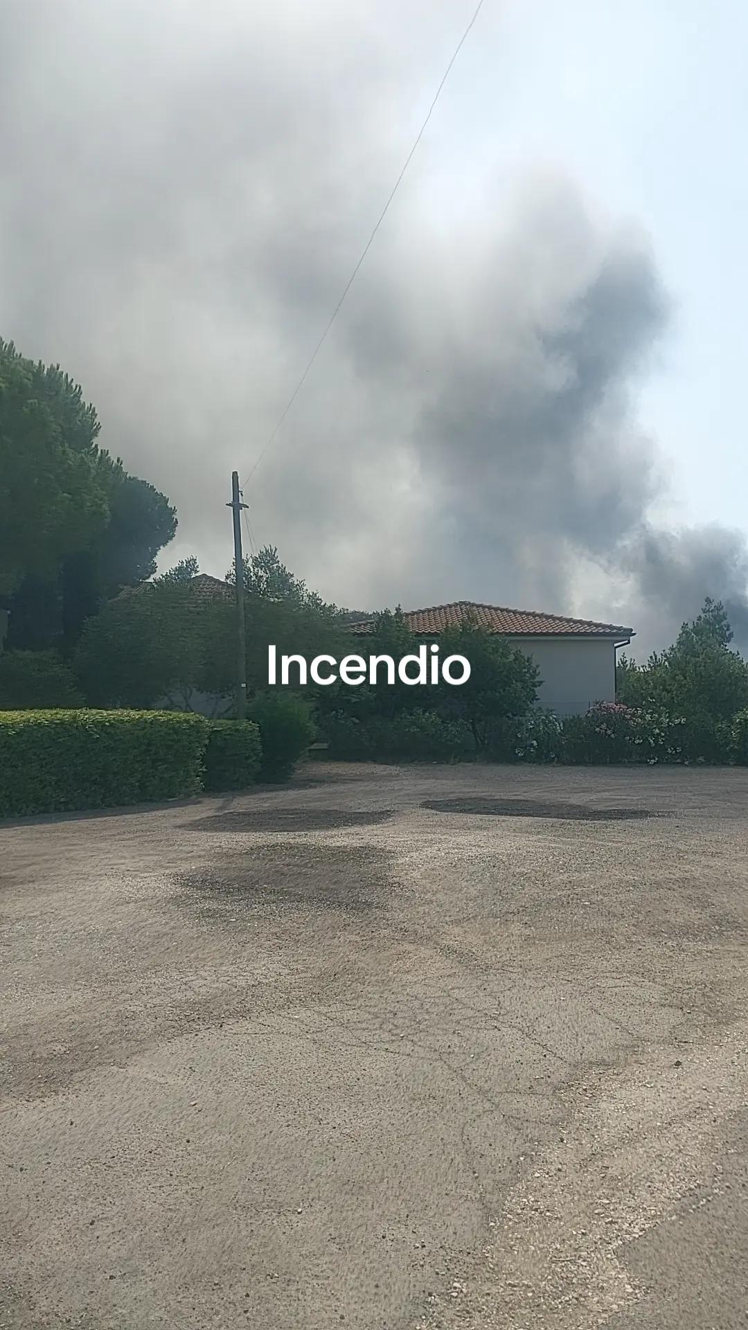 @Mauro Giganti