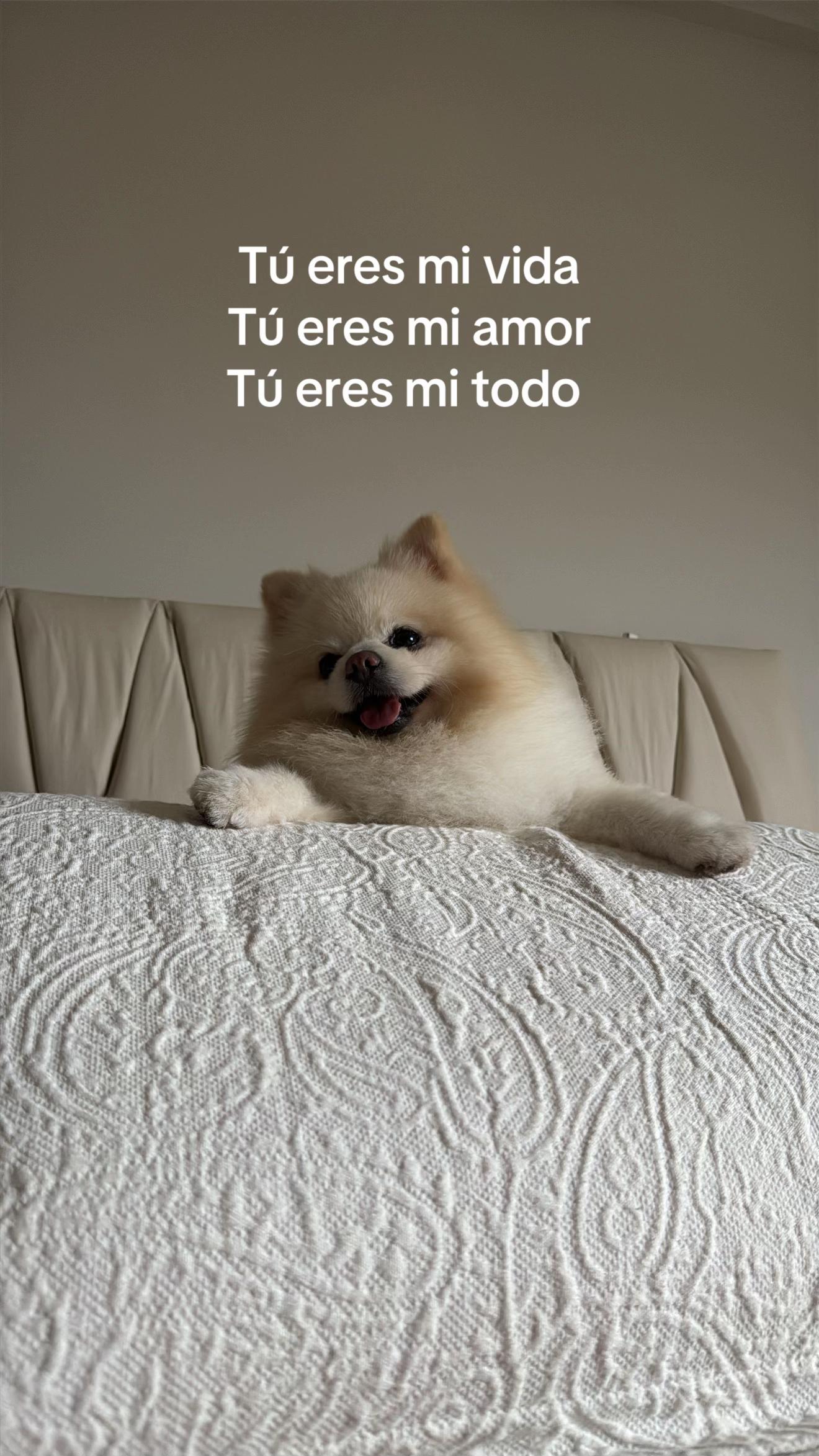 @Yannine Molina