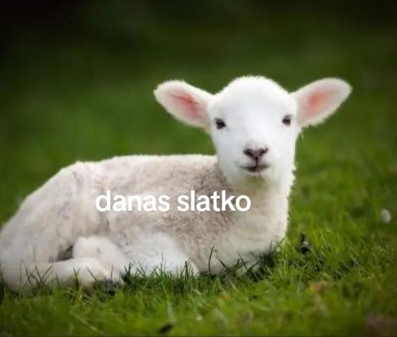 @Simi sfws