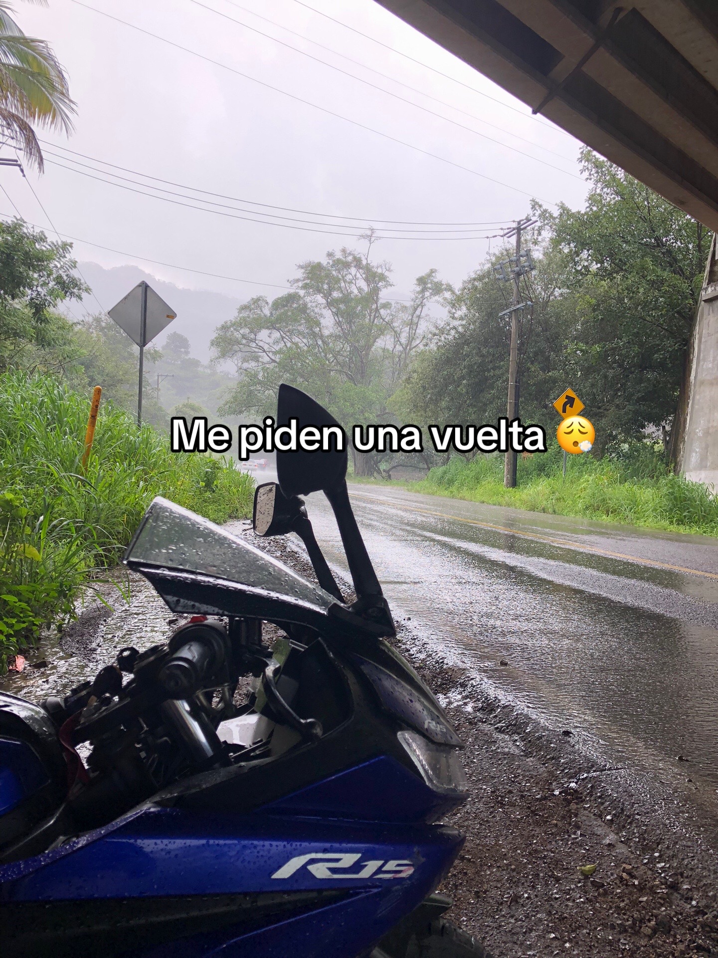 @La de las coletitas💗