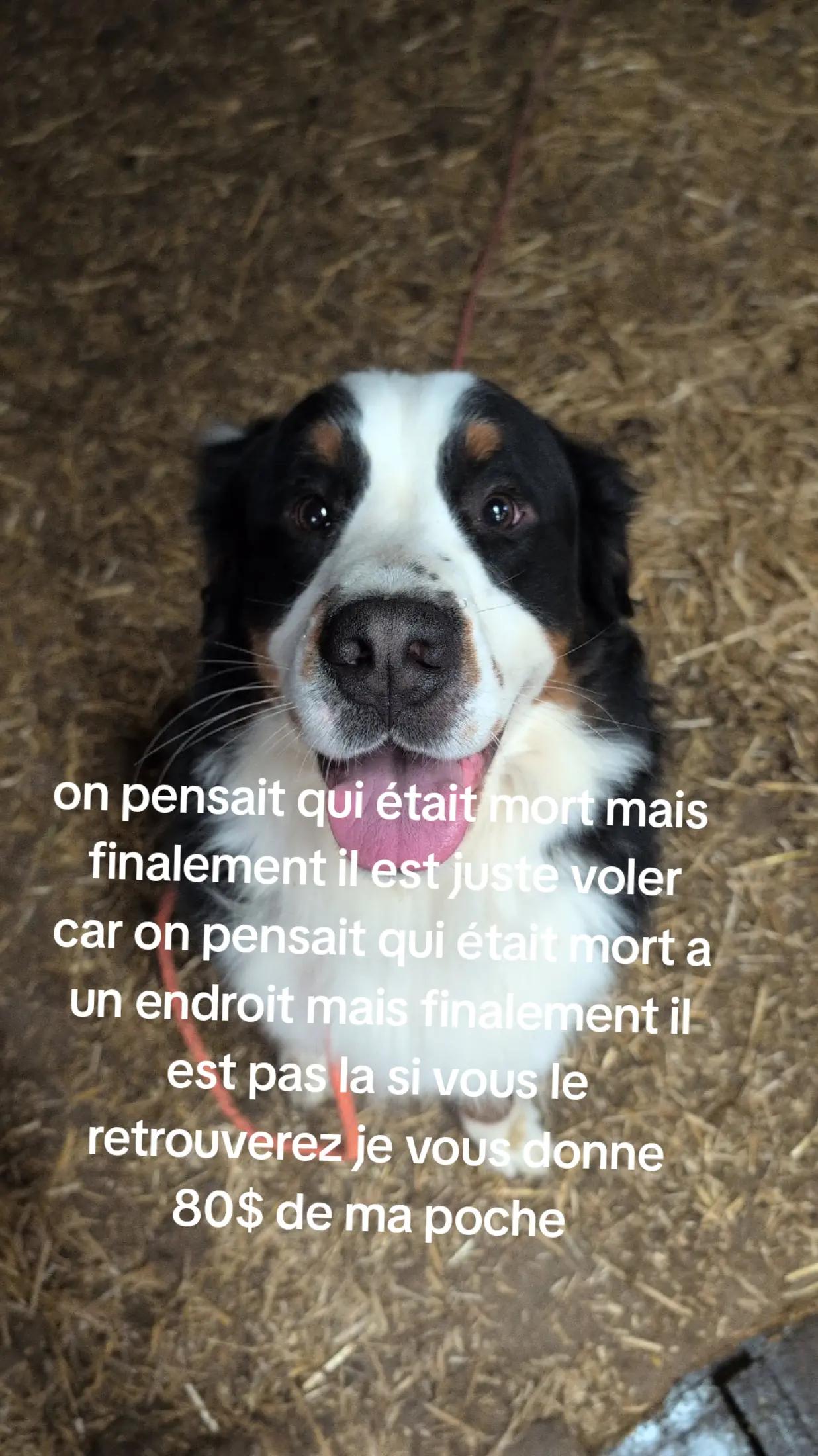 @flica et Nelly