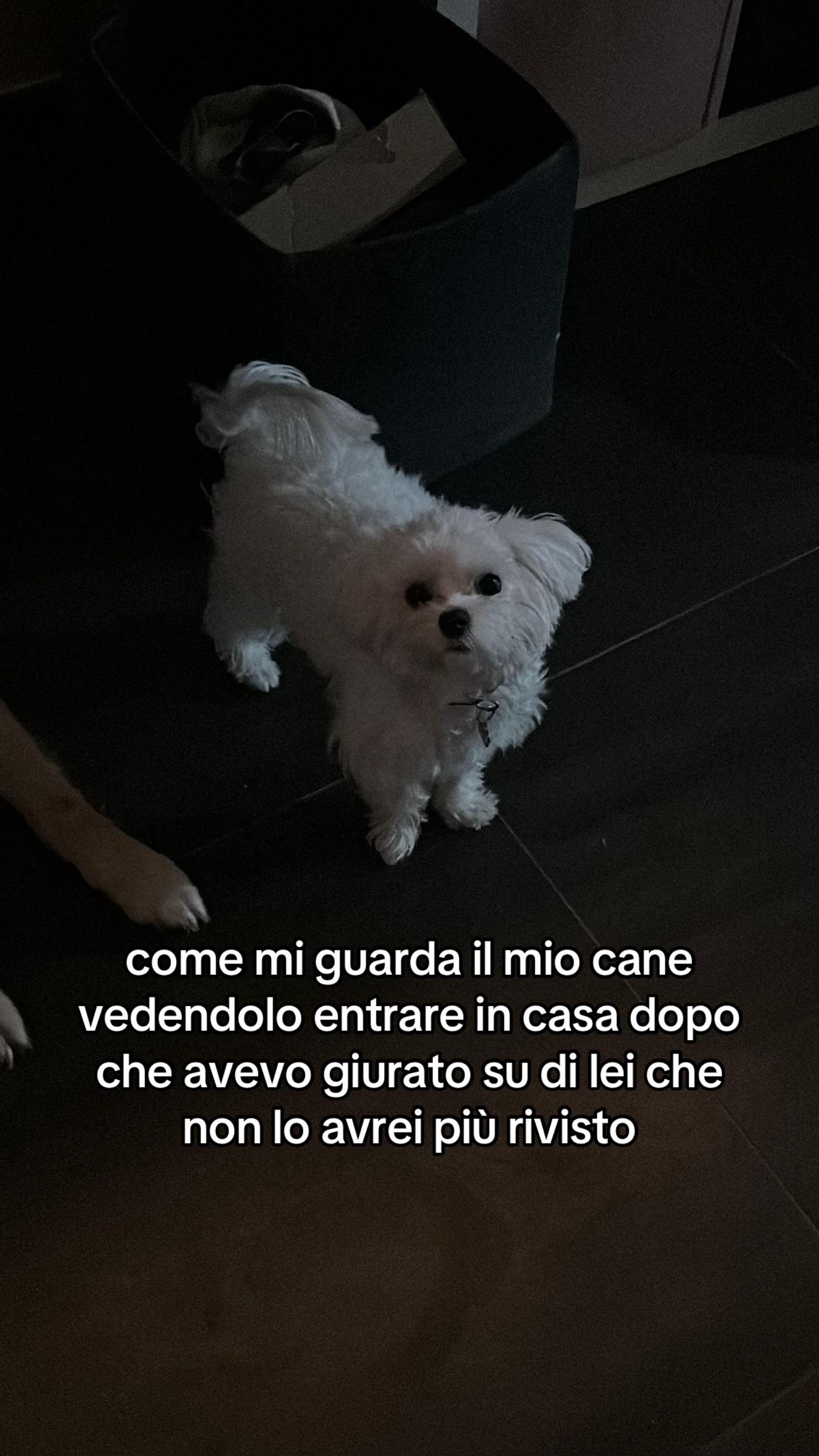 @spam_ste🌟