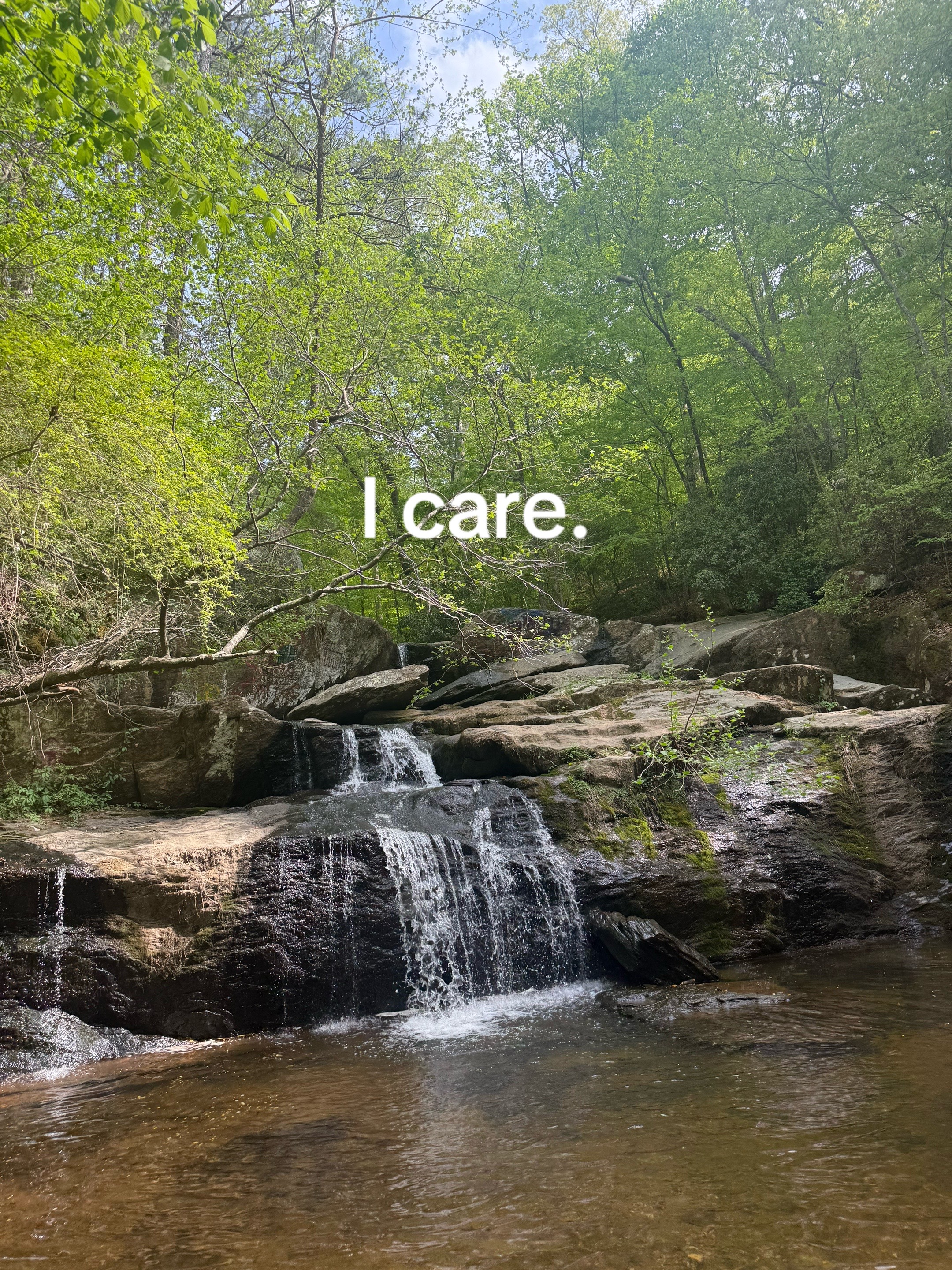 @Cy ❦