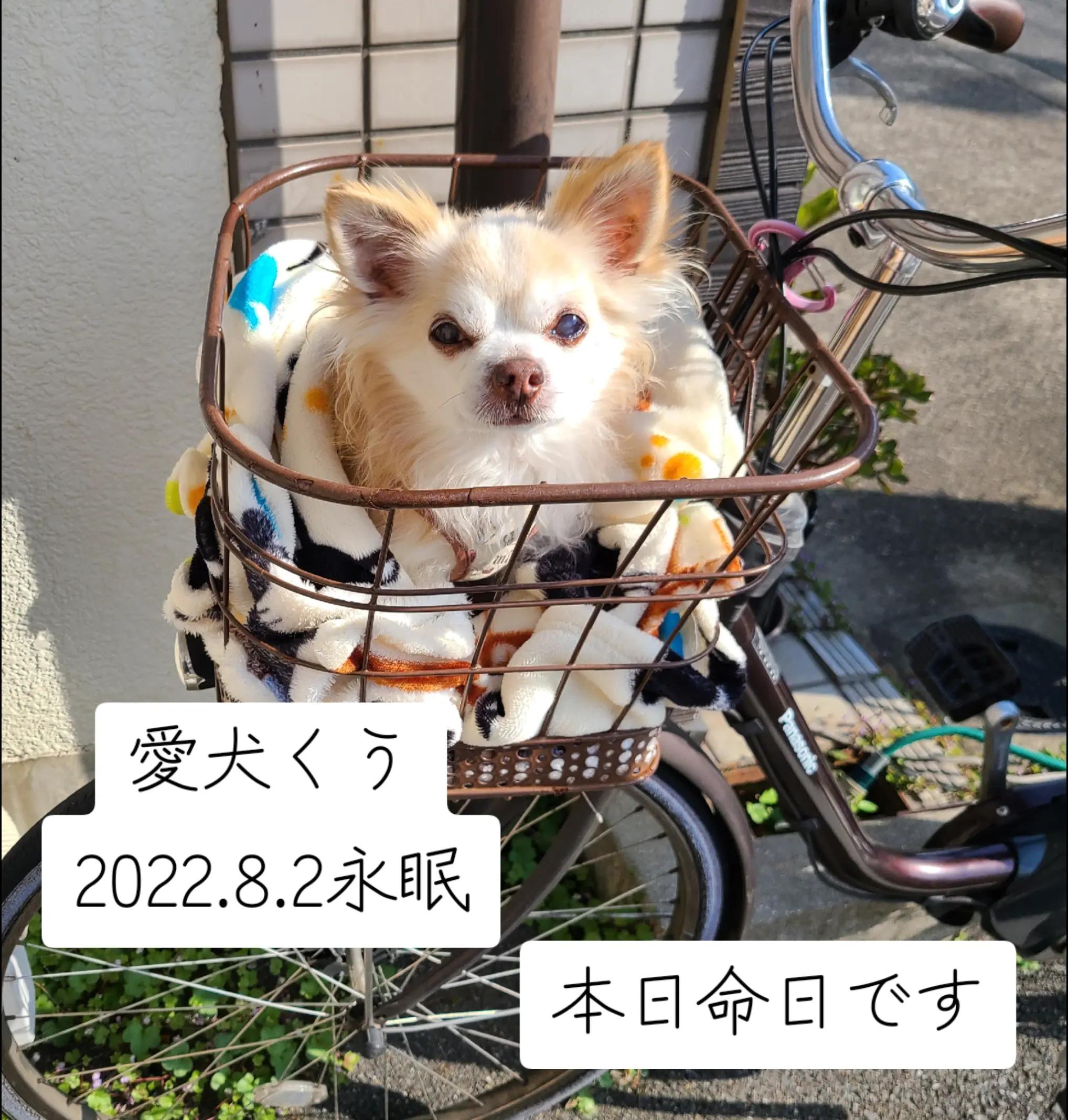@てんきな