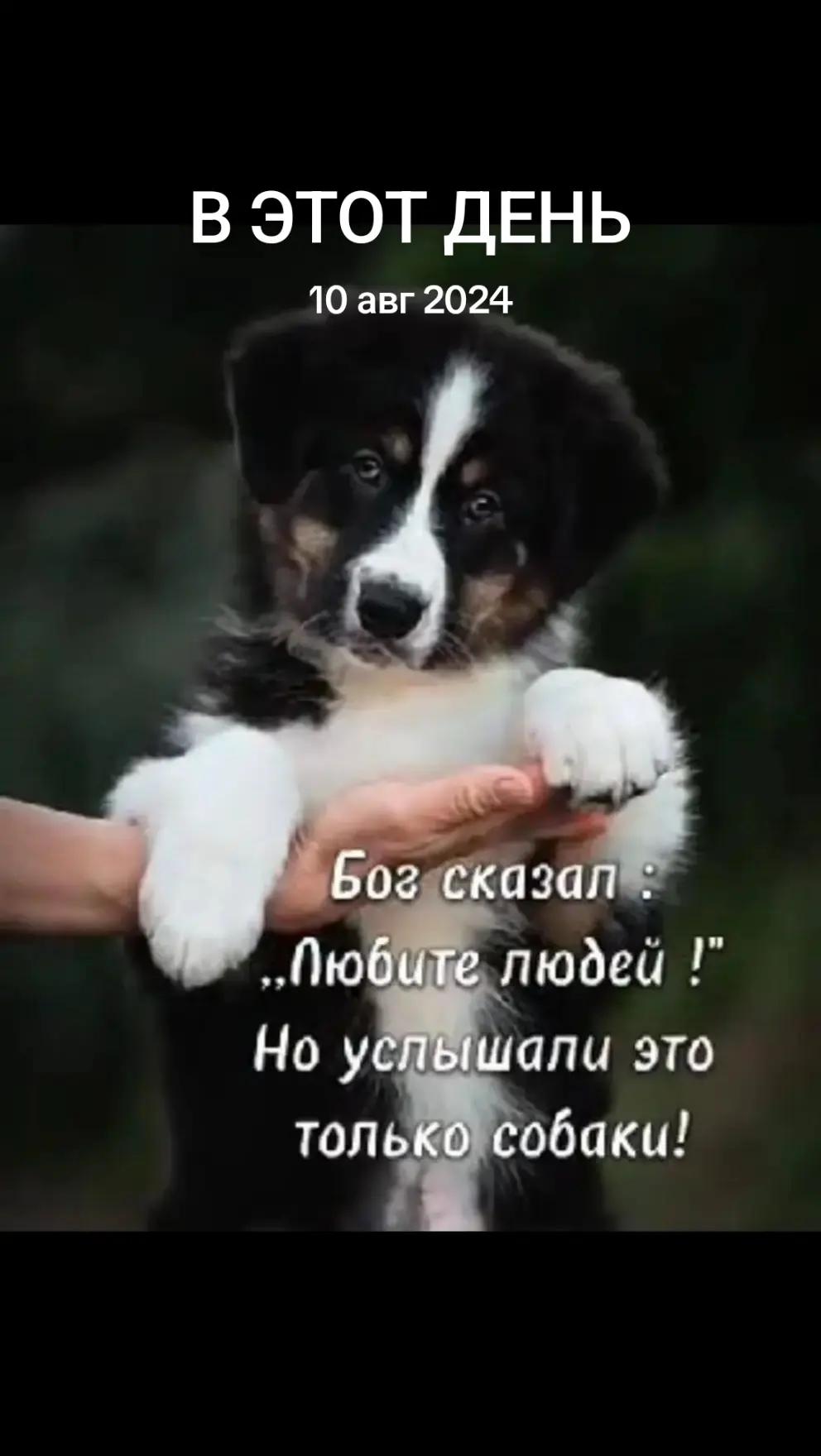 @KRAIZI