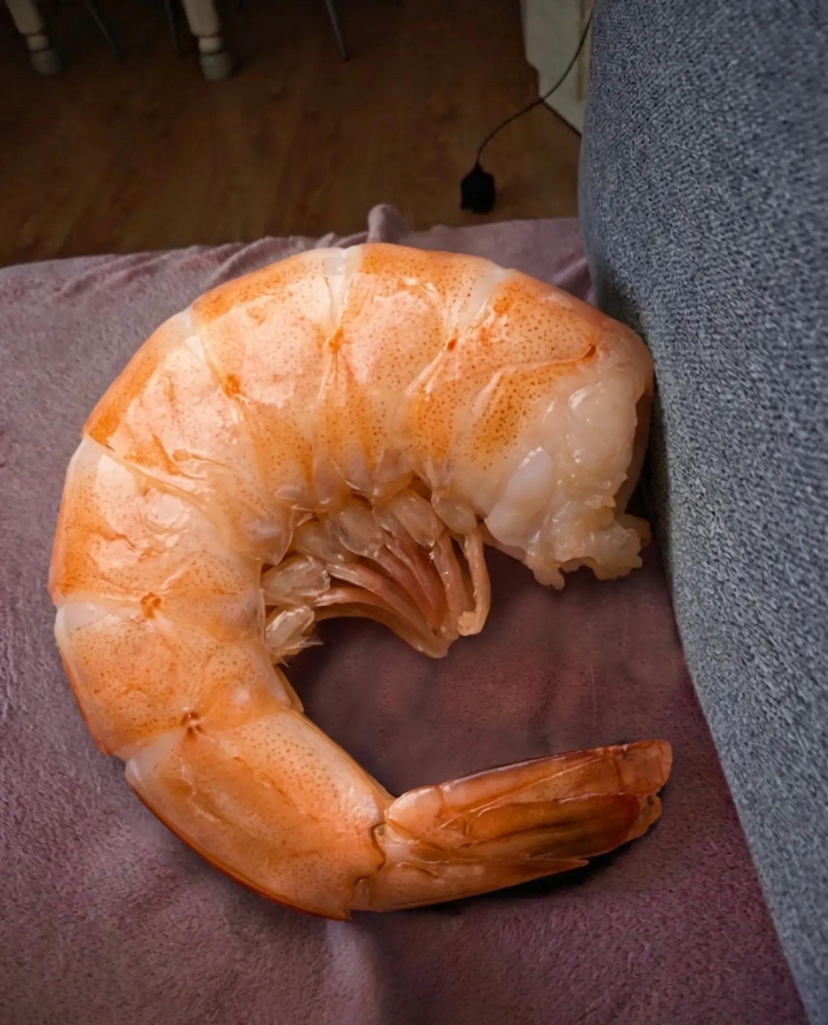 @ᴛʀᴀꜰᴀʟᴏᴠᴀ