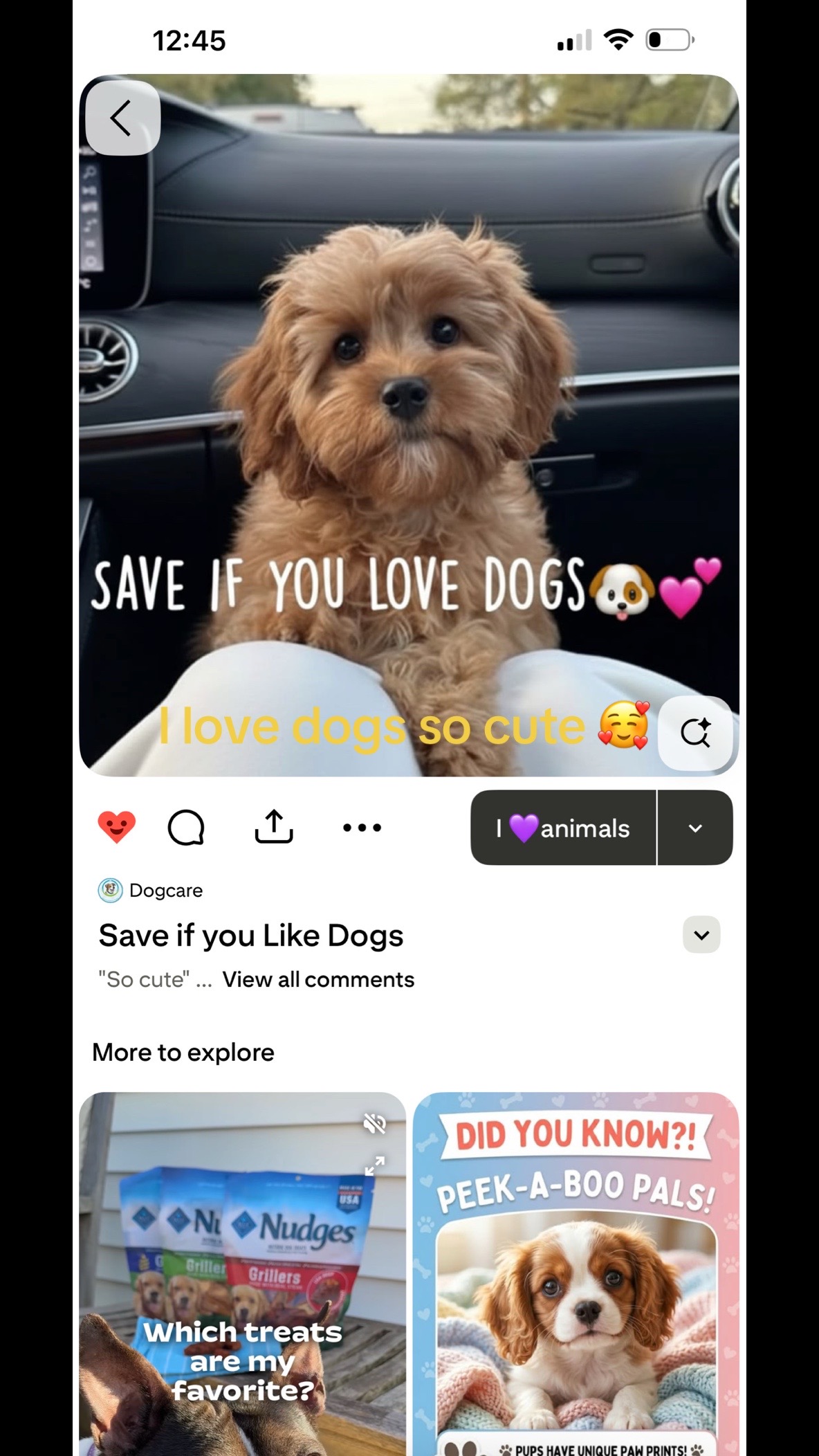@Preslee Carson ❤️baddie_RTF