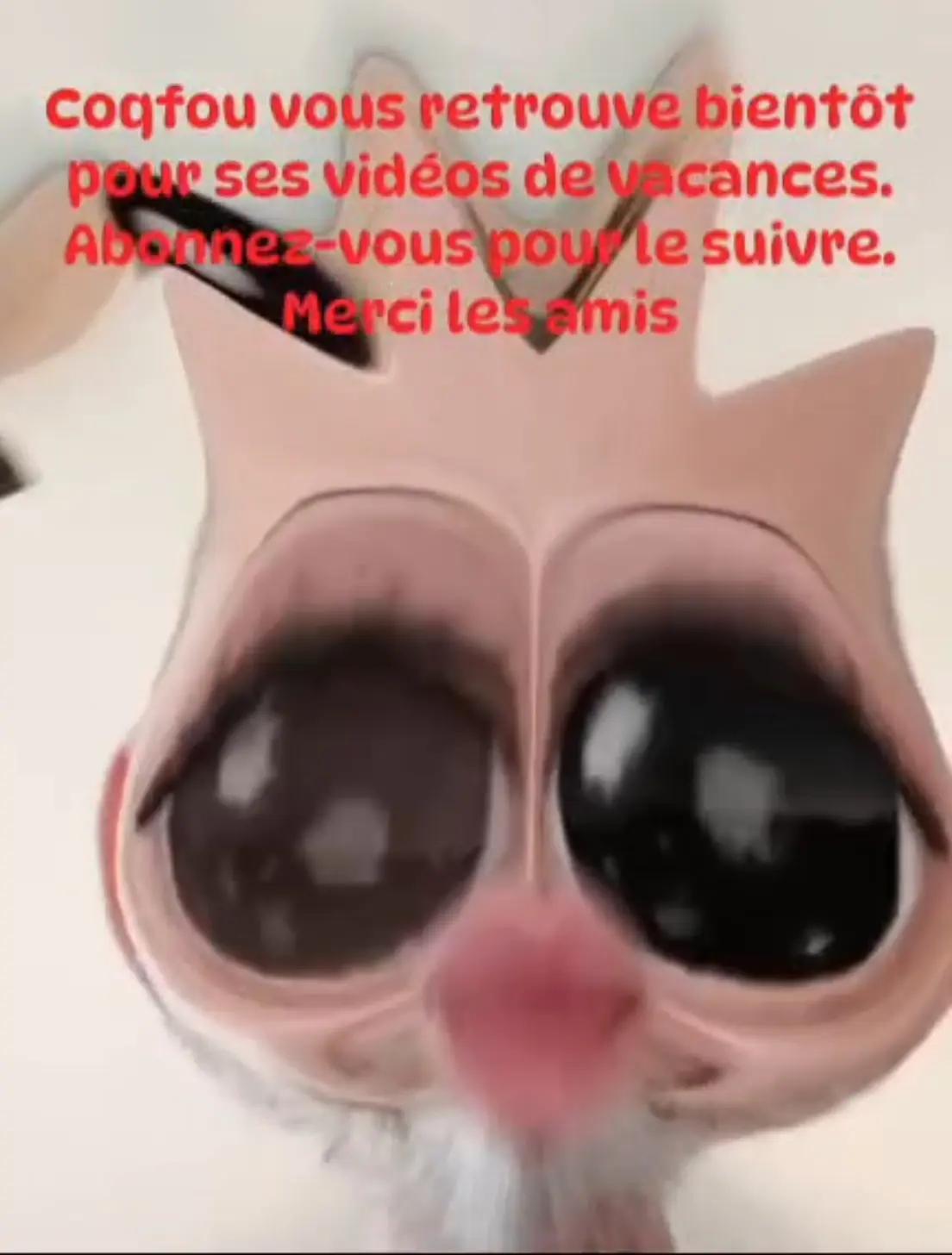 @Macaverneperso