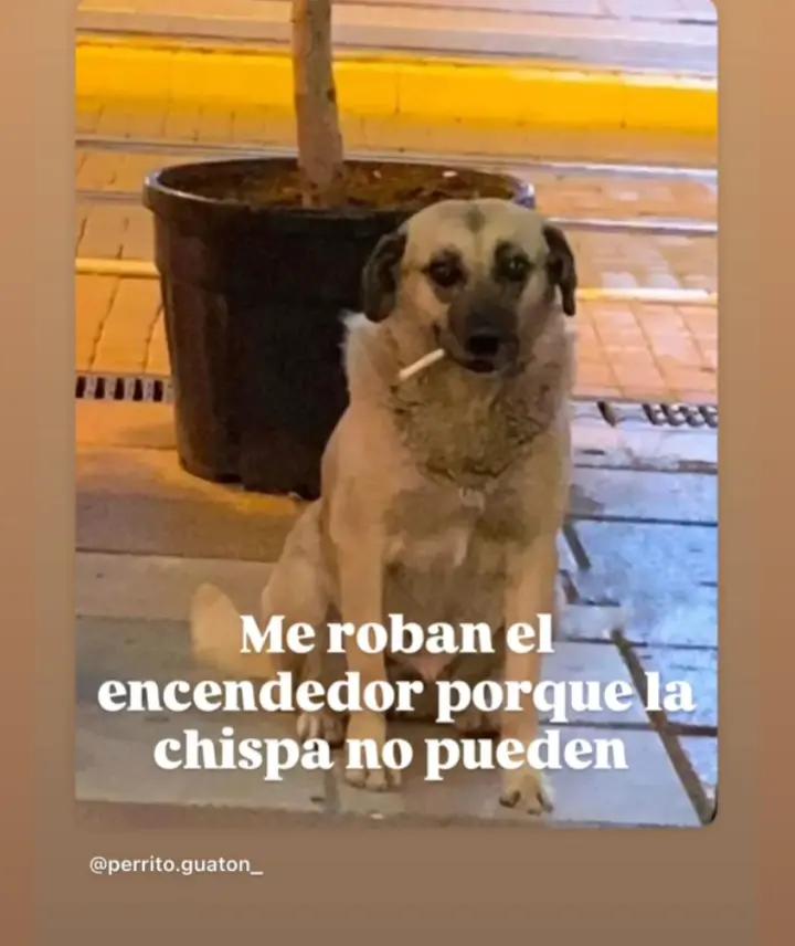@Papi 📲🇧🇴