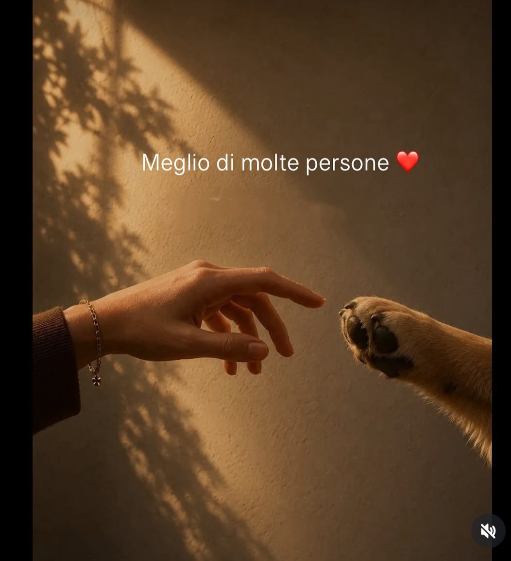 @patrizia