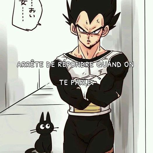 @Animé🍜 Pro🦊