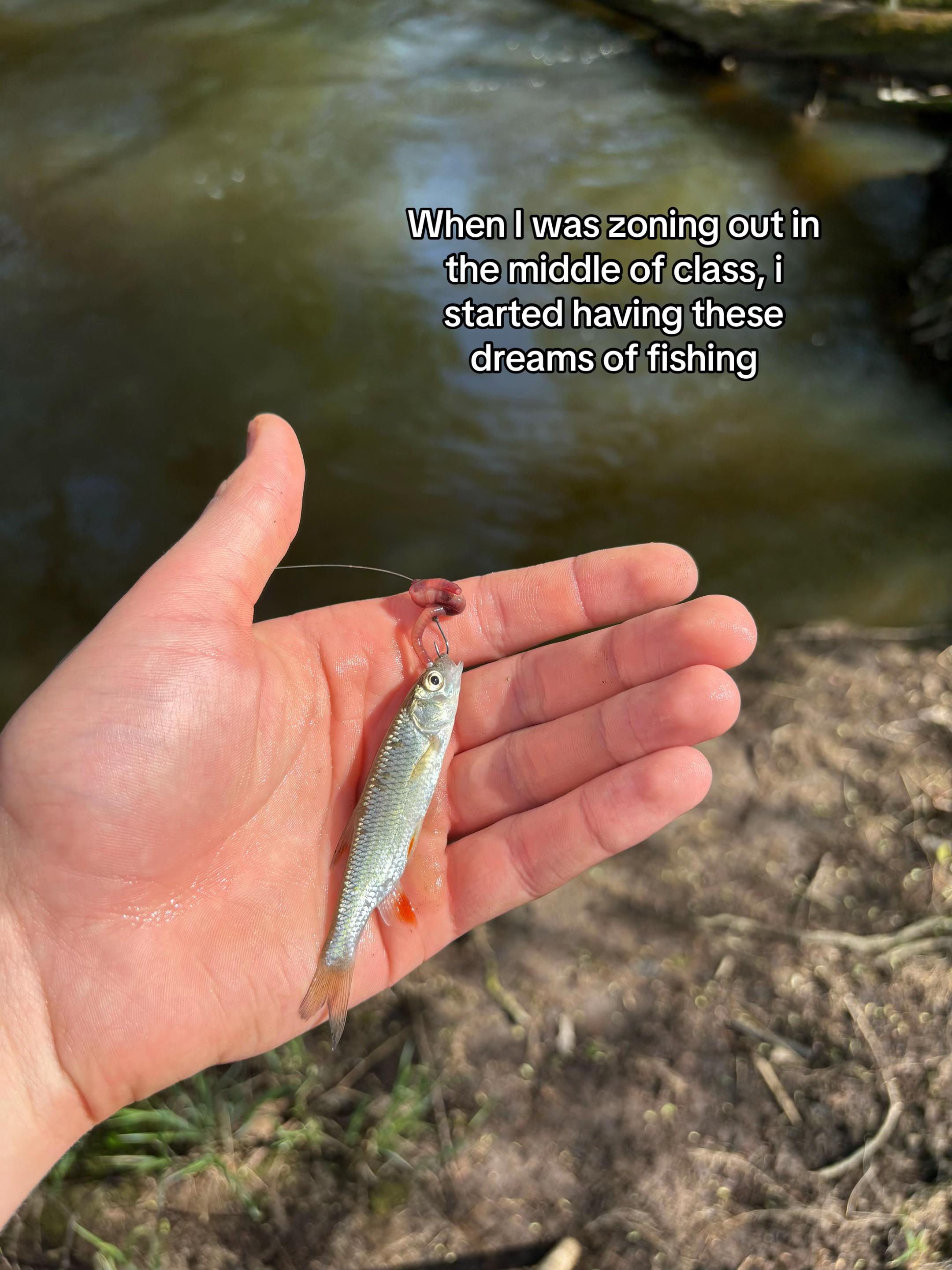 @Fishing With Alekss 🎣💎