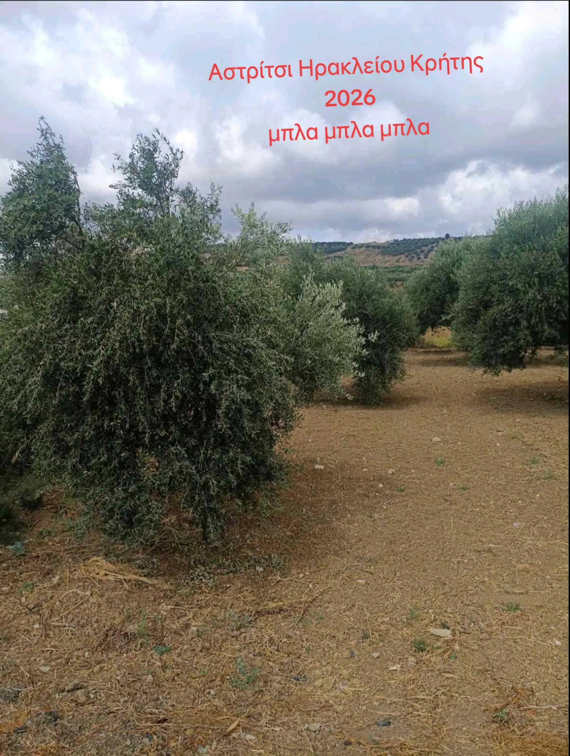@&Alpha;&gamma;&alpha;&lambda;&iota;&alpha;&nu;ό&sigmaf; &Iota;&omega;ά&nu;&nu;&eta;&sigmaf; &Gamma;&epsilon;&omega;&pi;ό&nu;&omicron;&sigmaf;