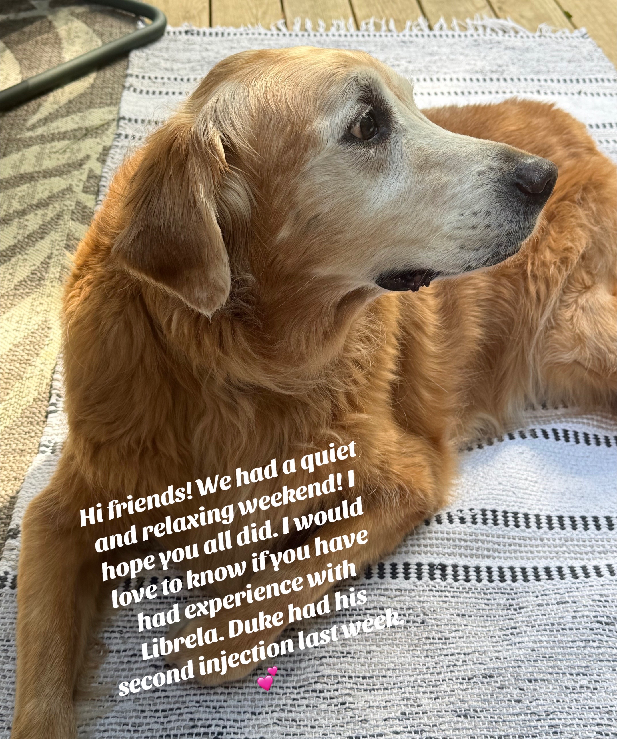 @lifewithduke2025