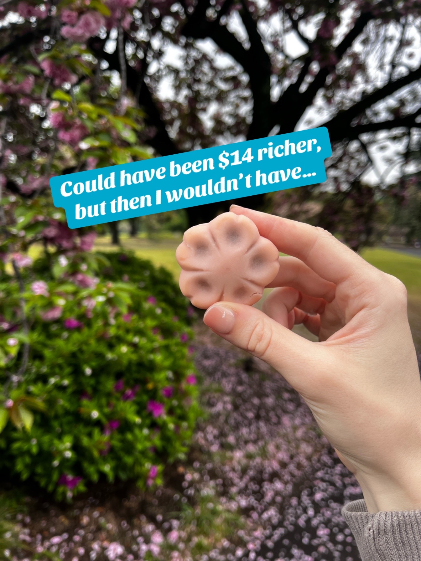@pocketlulu