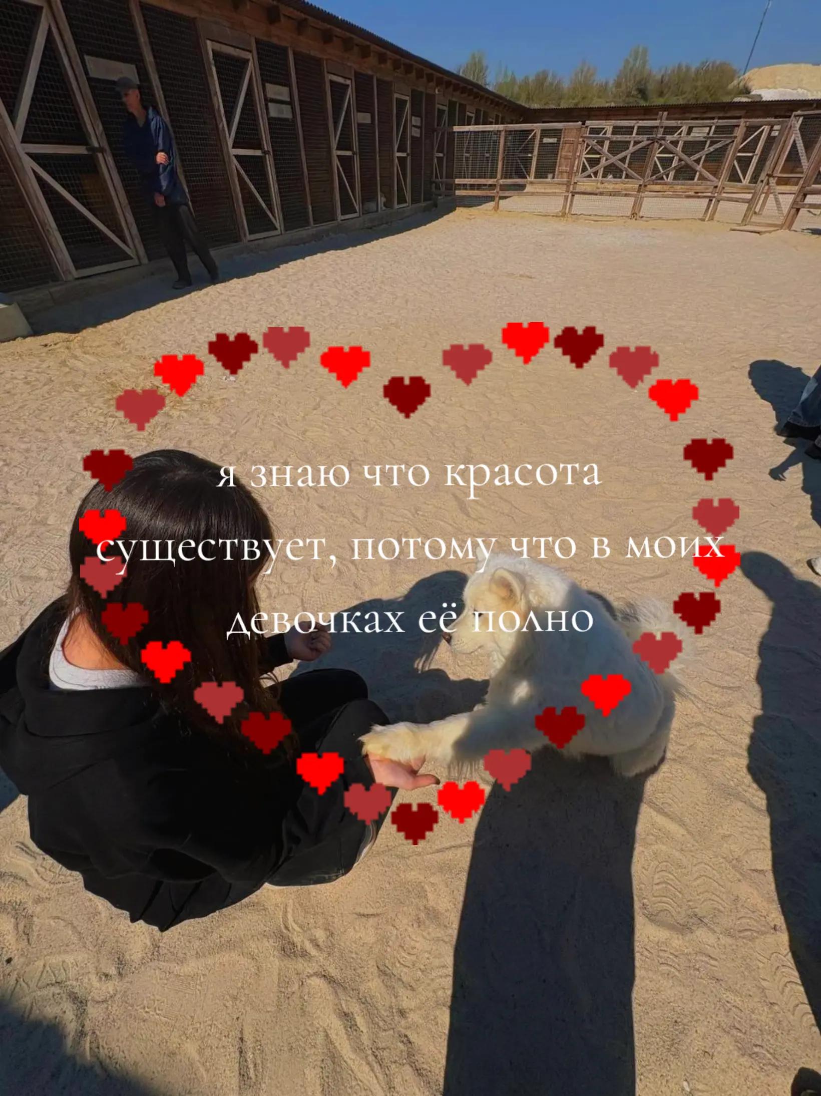@настха🪬