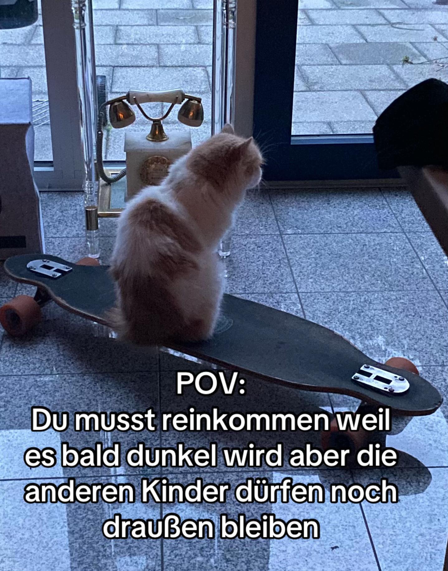 @POVs mit Rambo&Mausi